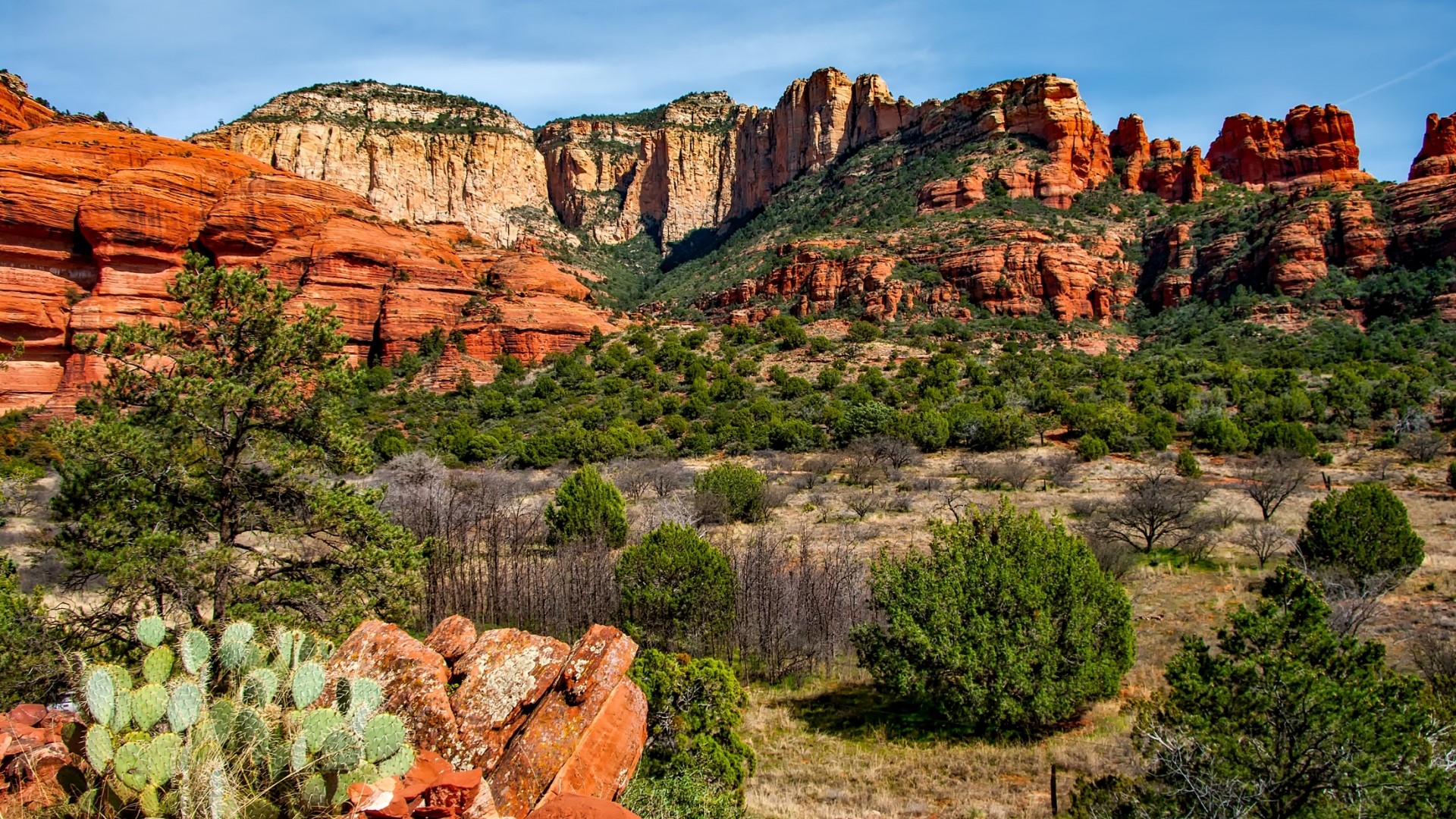 Red Rock Canyon Landscape with Cacti HD Wallpaper