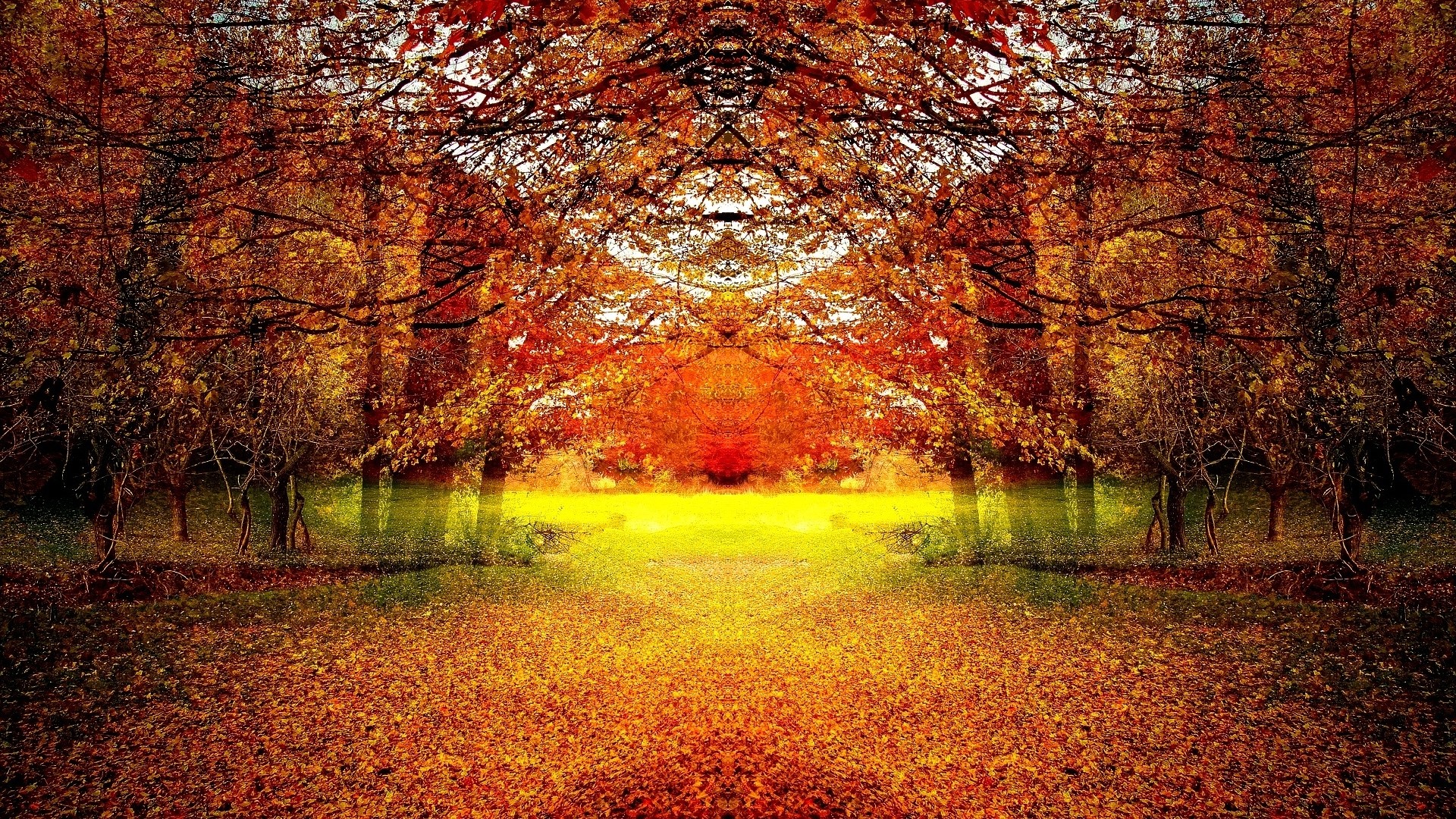 Autumn landscape with fallen leaves HD Wallpaper