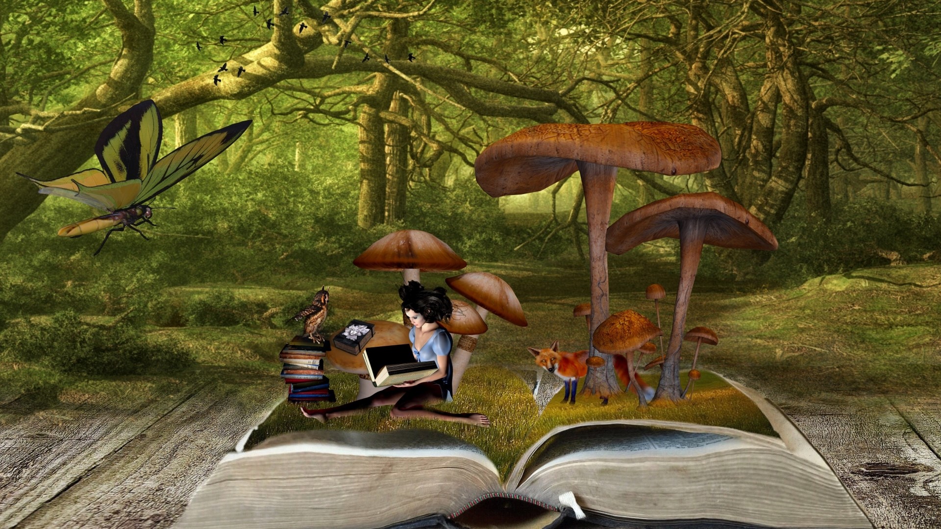 Fantasy forest scene with a girl reading a book HD Wallpaper