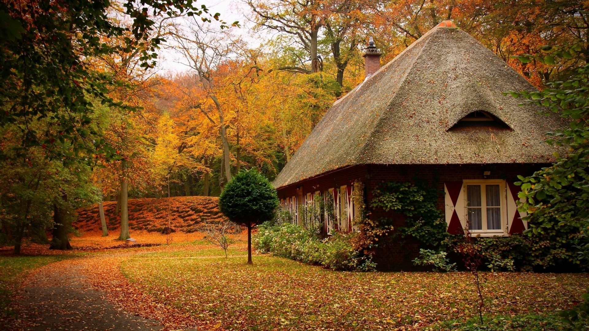 Thatched roof house in autumn woods HD Wallpaper