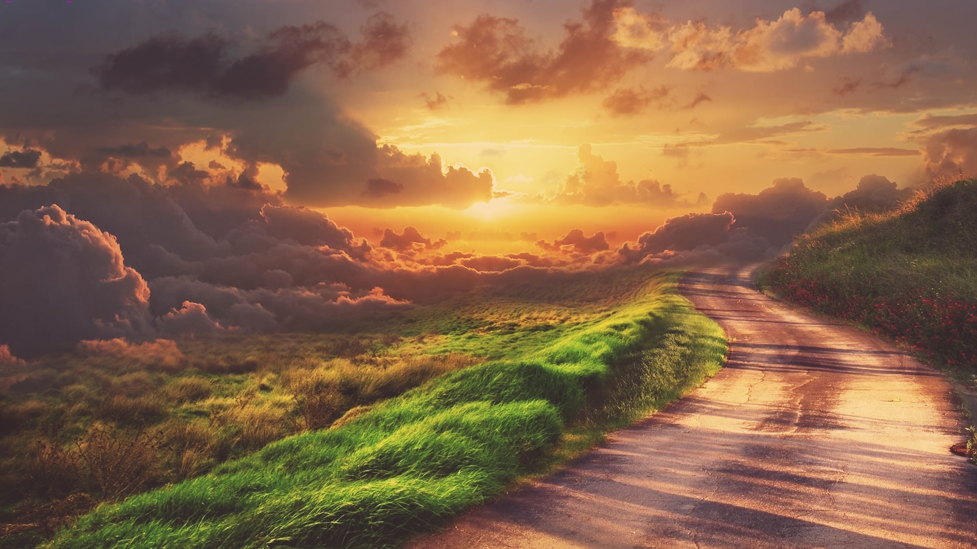 Road through grassy hills at sunset HD Wallpaper
