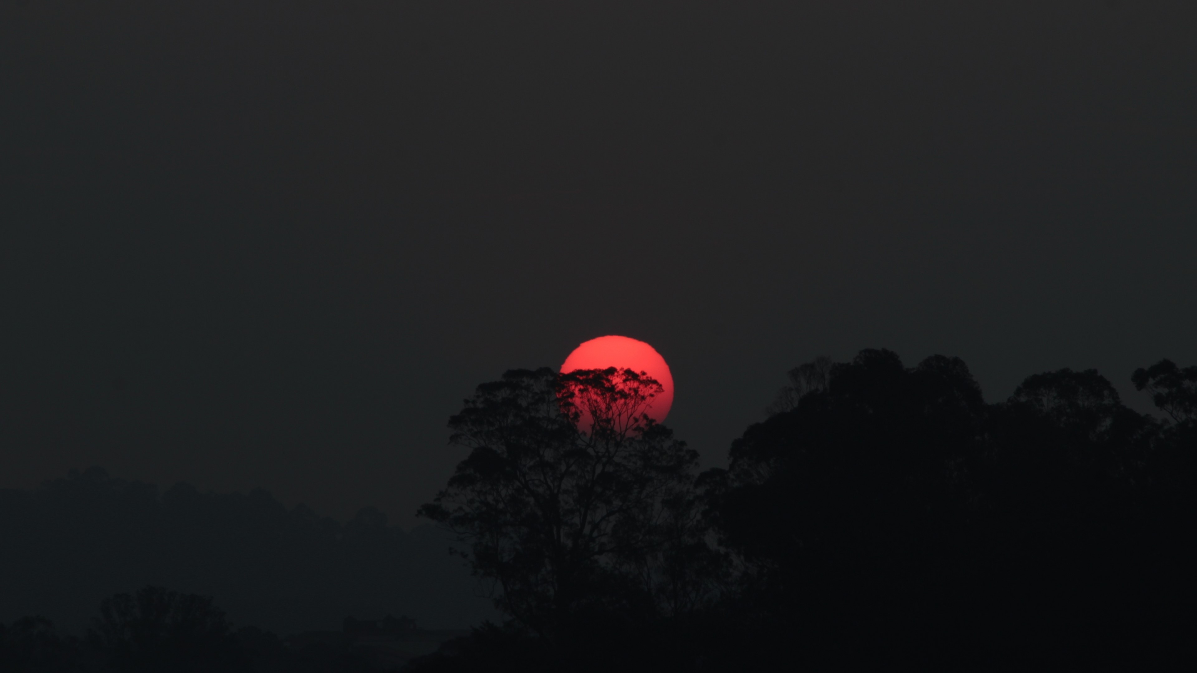 4K Sunset behind silhouetted trees HD Wallpaper