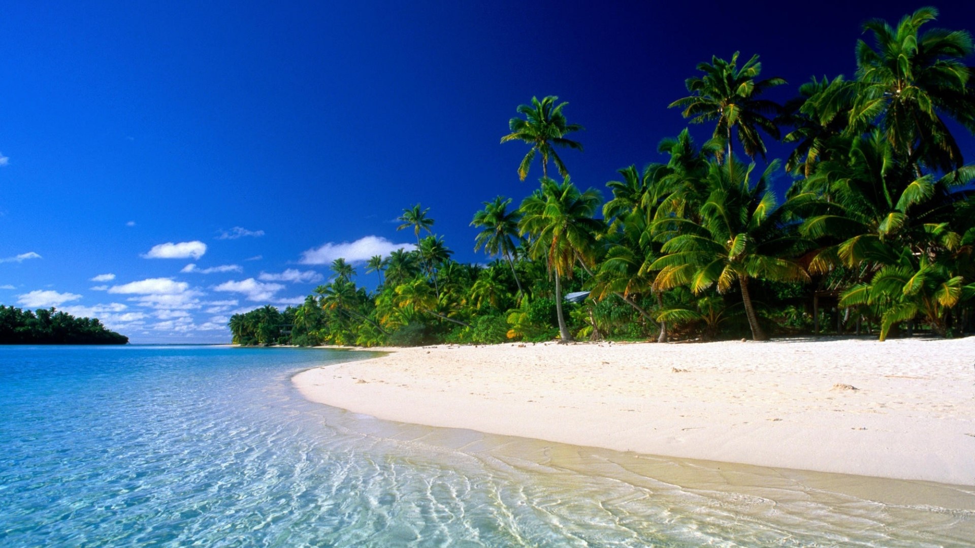 Tropical White Sand Beach with Clear Water HD Wallpaper
