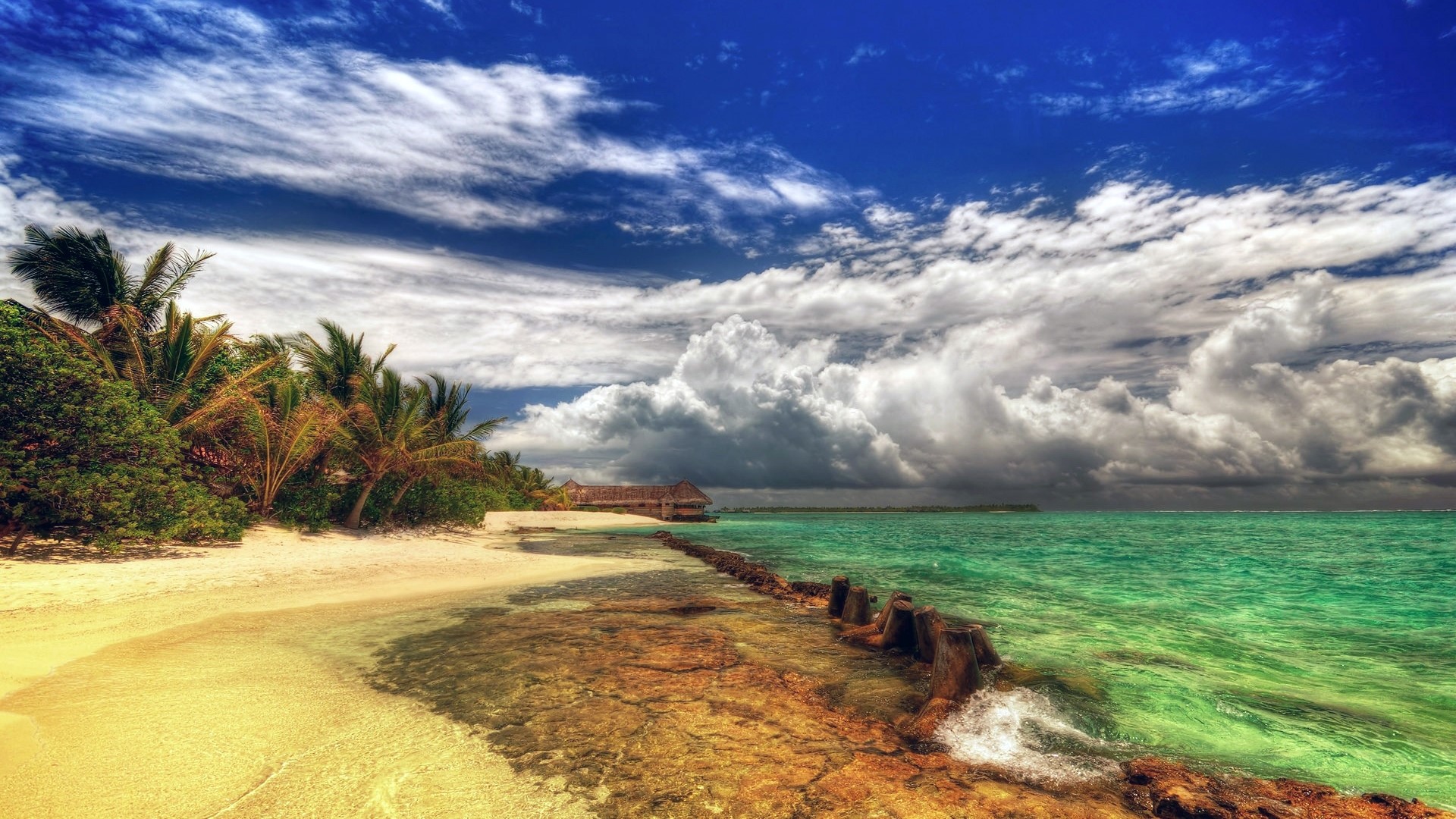 Tropical beach with palm trees and stormy clouds HD Wallpaper