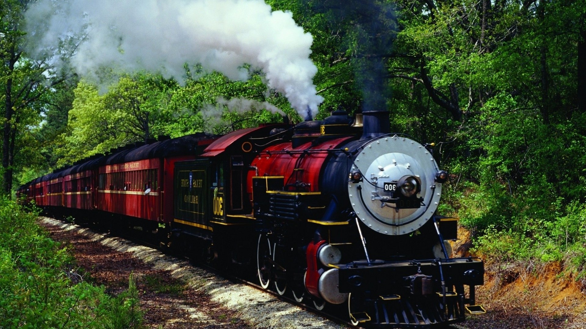 Steam Locomotive with Passenger Cars in Forest HD Wallpaper