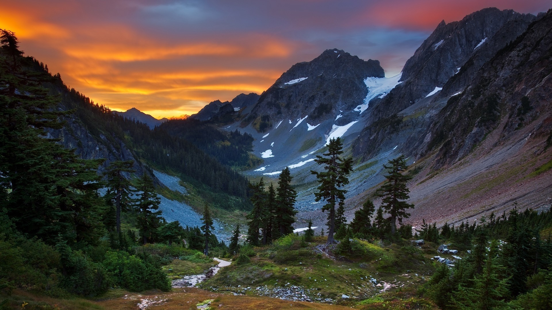 Mountain valley at sunset with pine trees HD Wallpaper