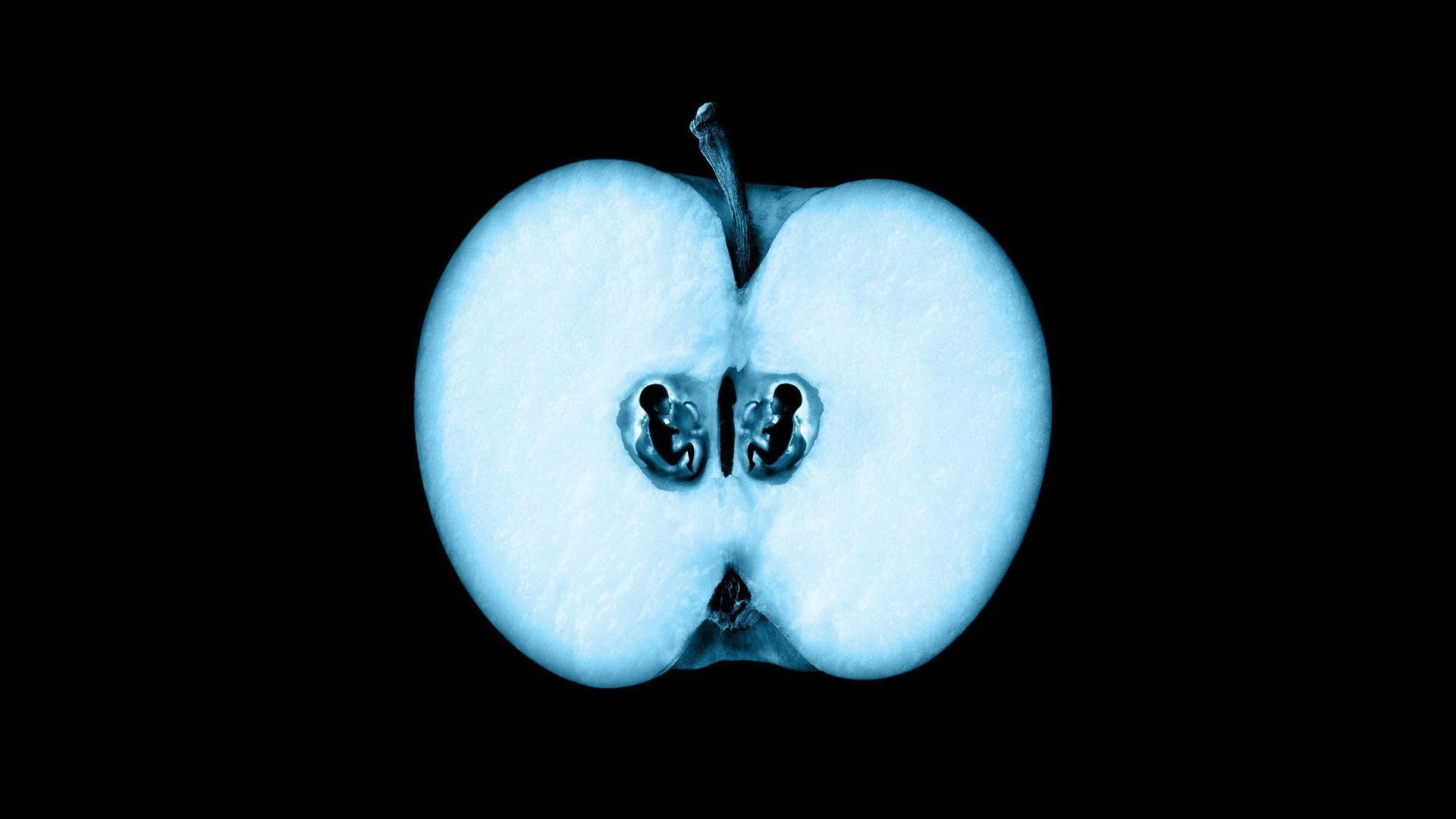 X-ray of an apple with fetus-like shapes inside HD Wallpaper