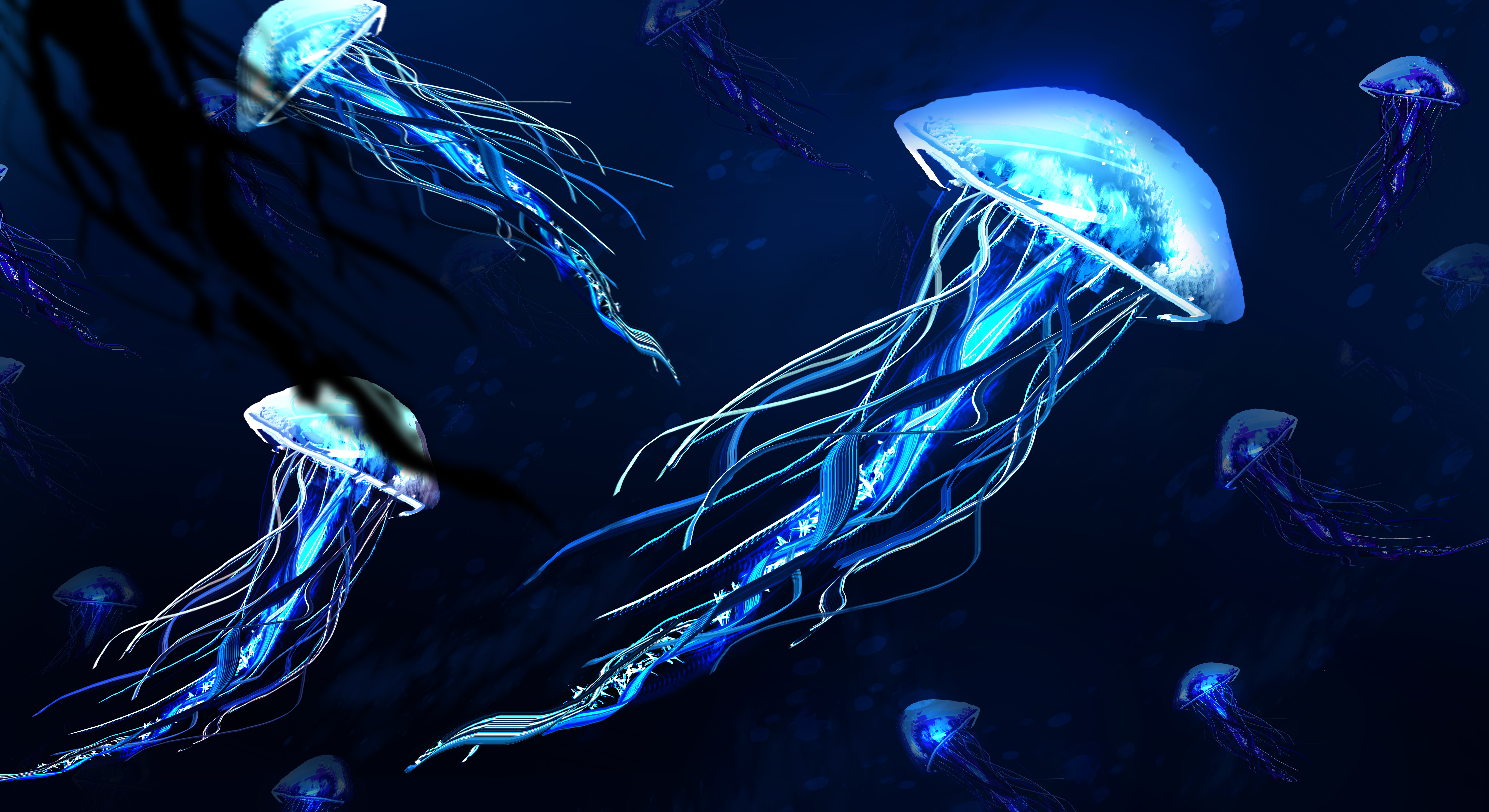 Glowing blue jellyfish underwater 4K HD Wallpaper