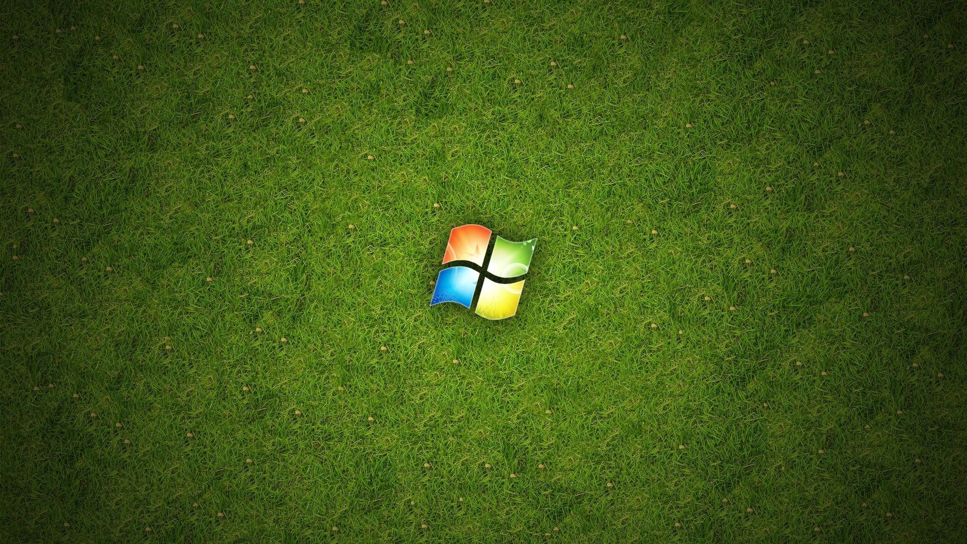 Windows Logo on a Field of Grass HD Wallpaper