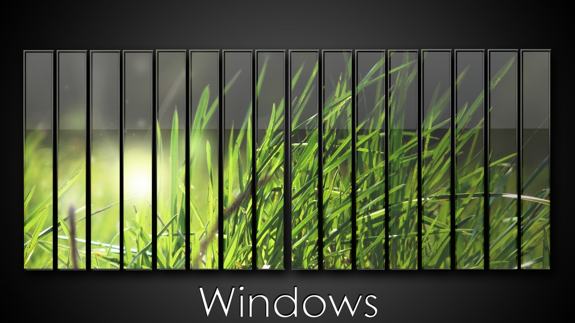 Windows logo with grass HD Wallpaper