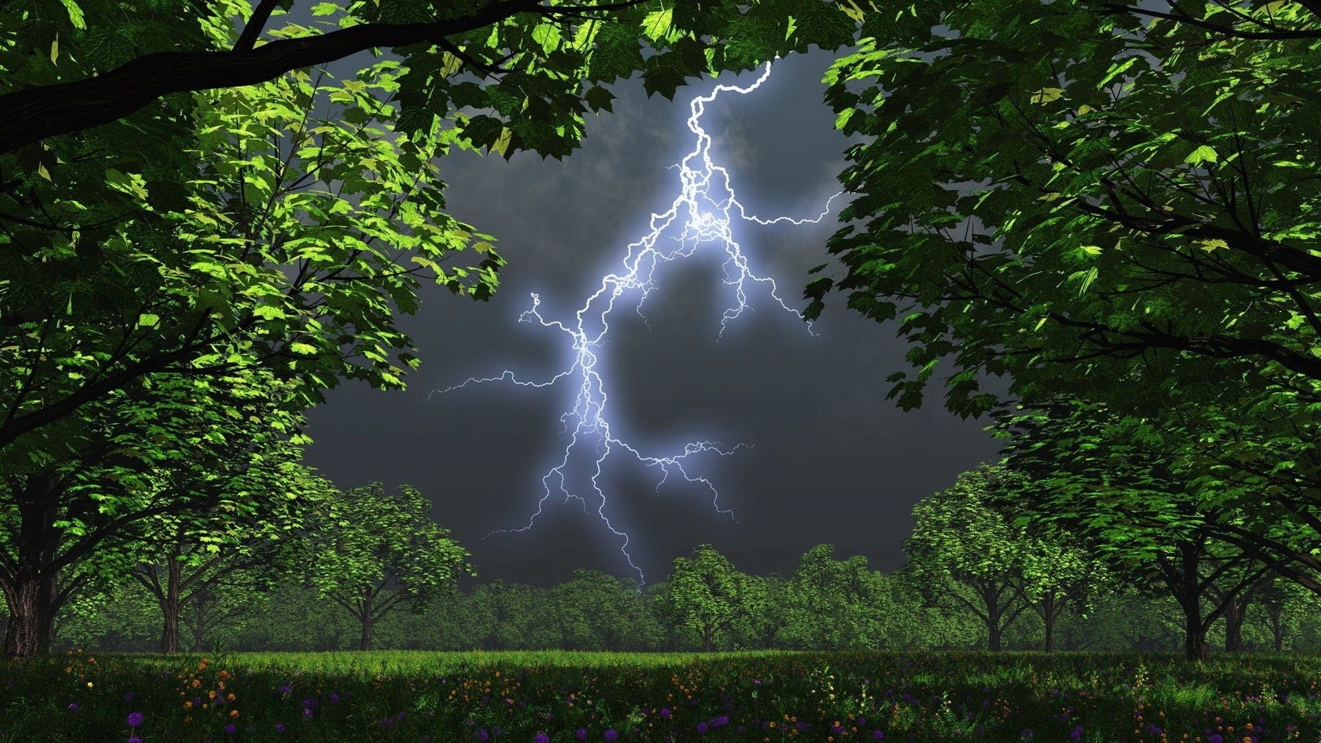 Lightning strike over a grassy field with trees HD Wallpaper
