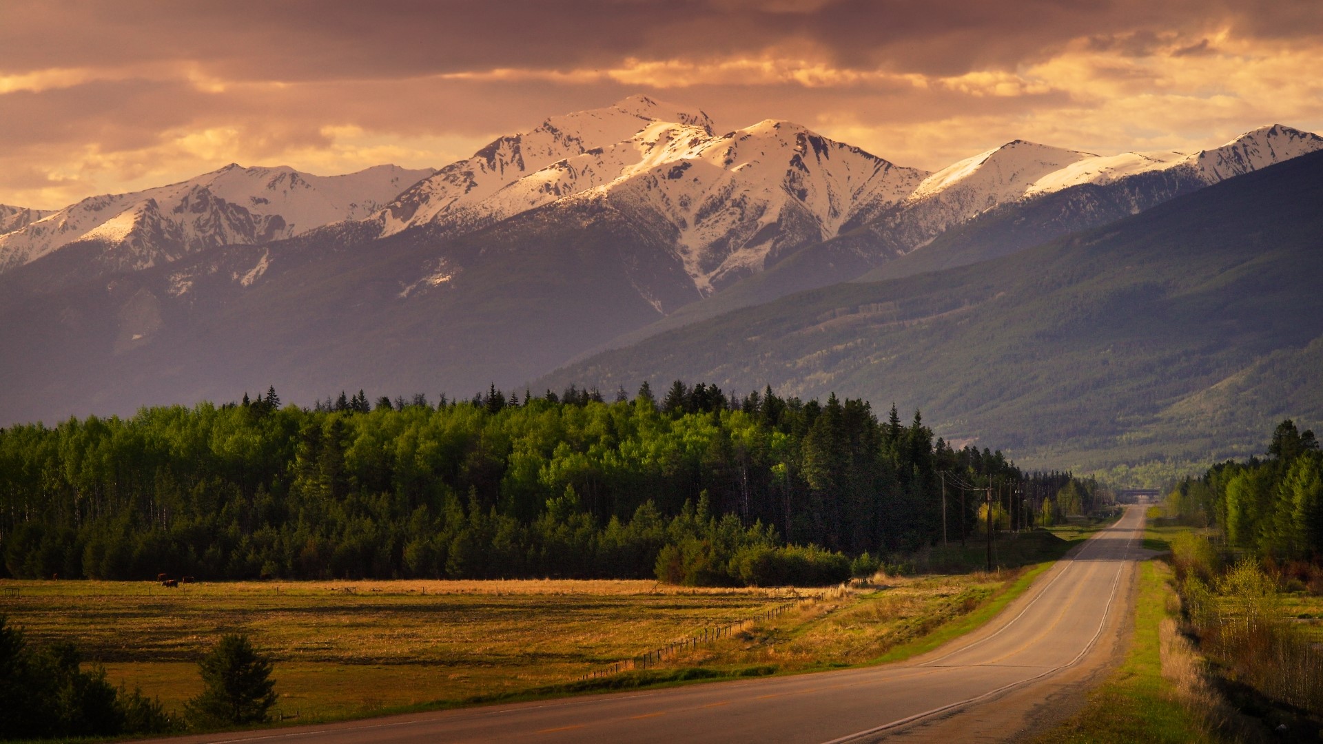 Road leading to snow-capped mountains and forest HD Wallpaper