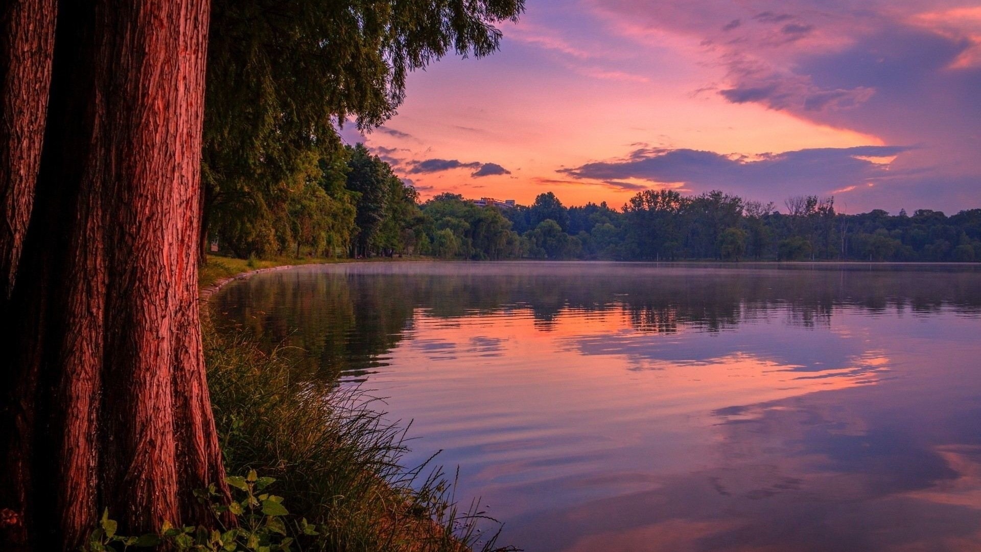 Lake at sunset with trees HD Wallpaper