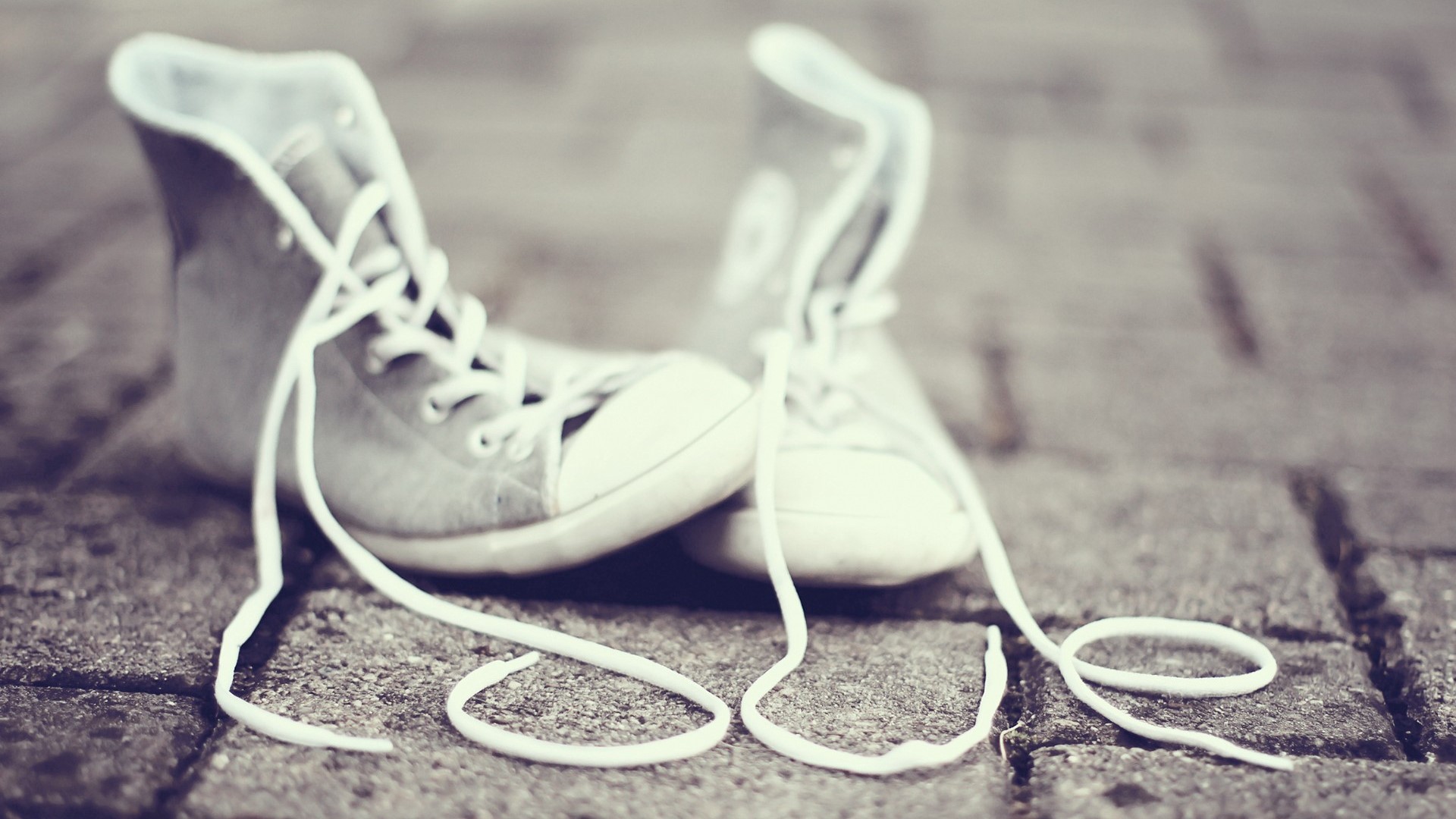 Love spelled with shoelaces and Converse shoes HD Wallpaper