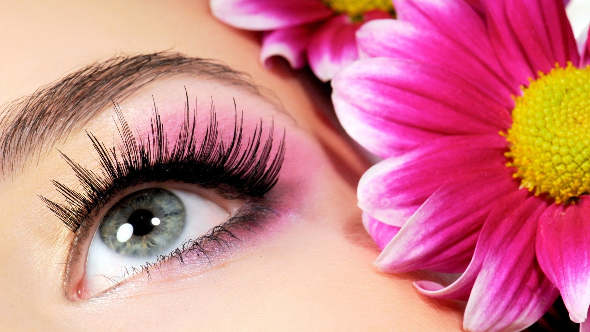 Close-up of a woman's eye with pink eyeshadow and flowers HD Wallpaper