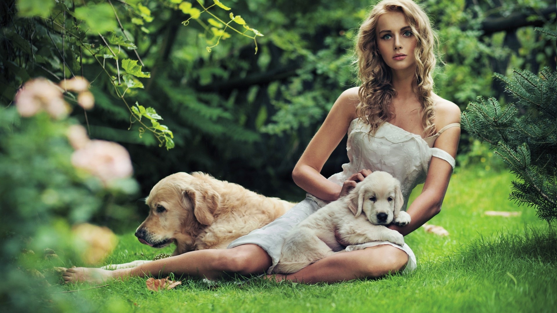 Girl with Golden Retriever Dogs in Nature HD Wallpaper