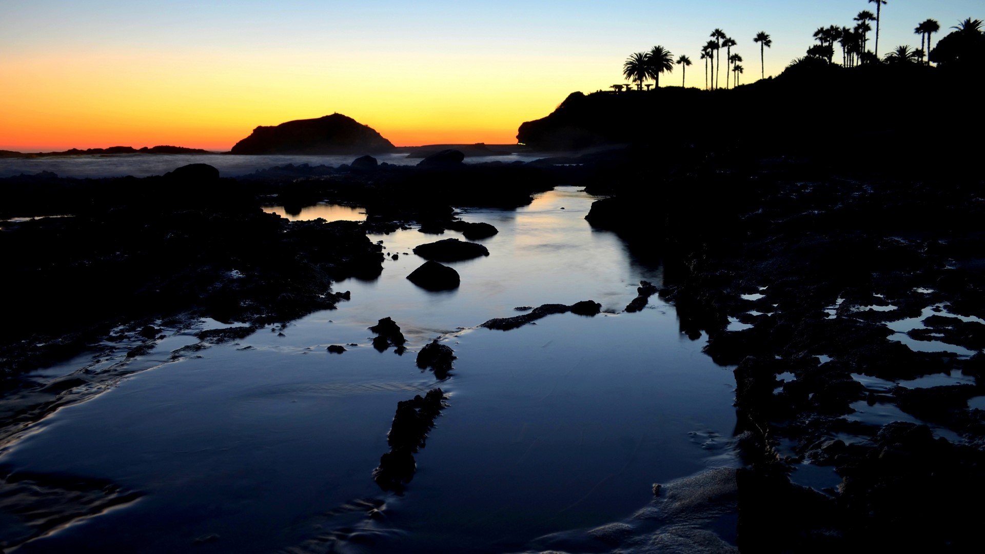 Sunset over Laguna Beach with palm trees HD Wallpaper