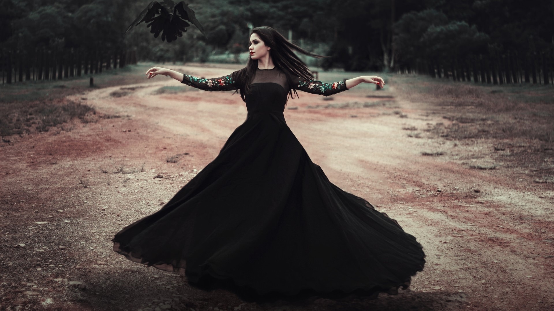 Girl in black dress with raven HD Wallpaper