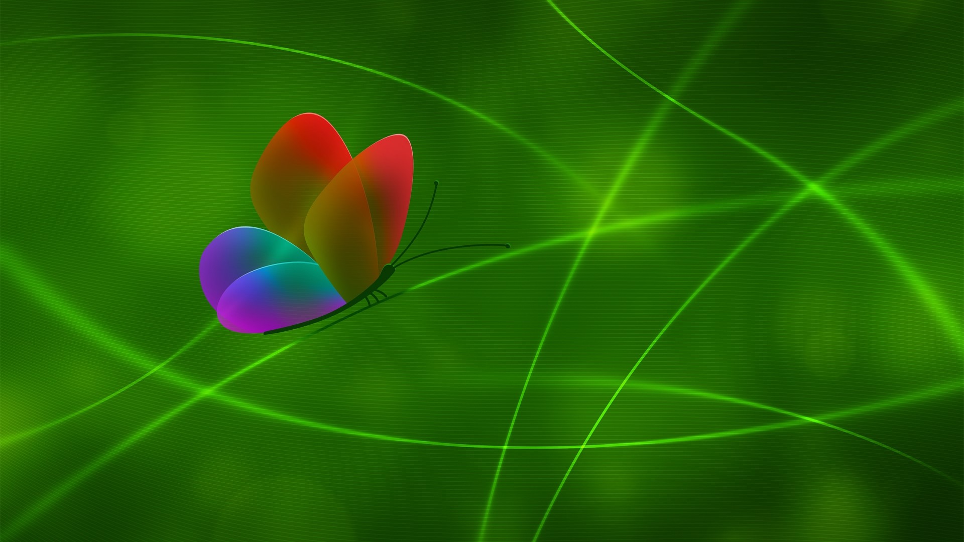 Abstract Butterfly with Green Lines HD Wallpaper