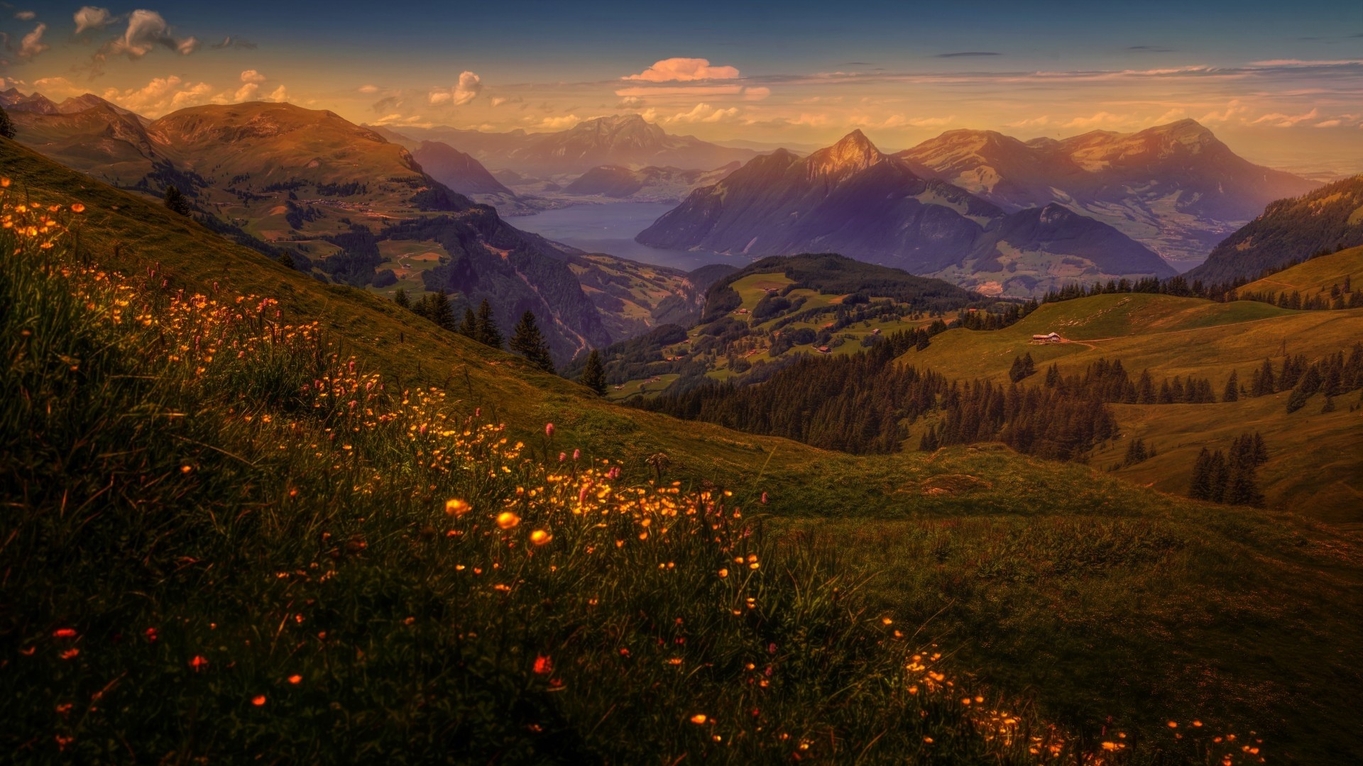 Mountain landscape with lake and wildflowers HD Wallpaper