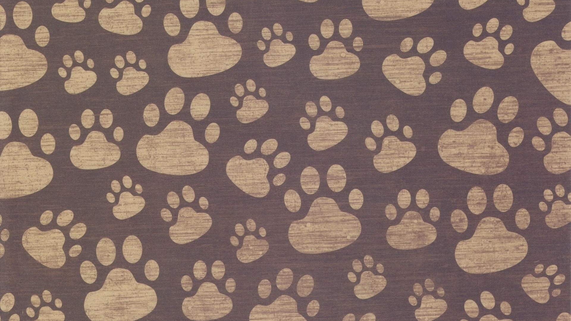 Paw Print Pattern HD Wallpaper