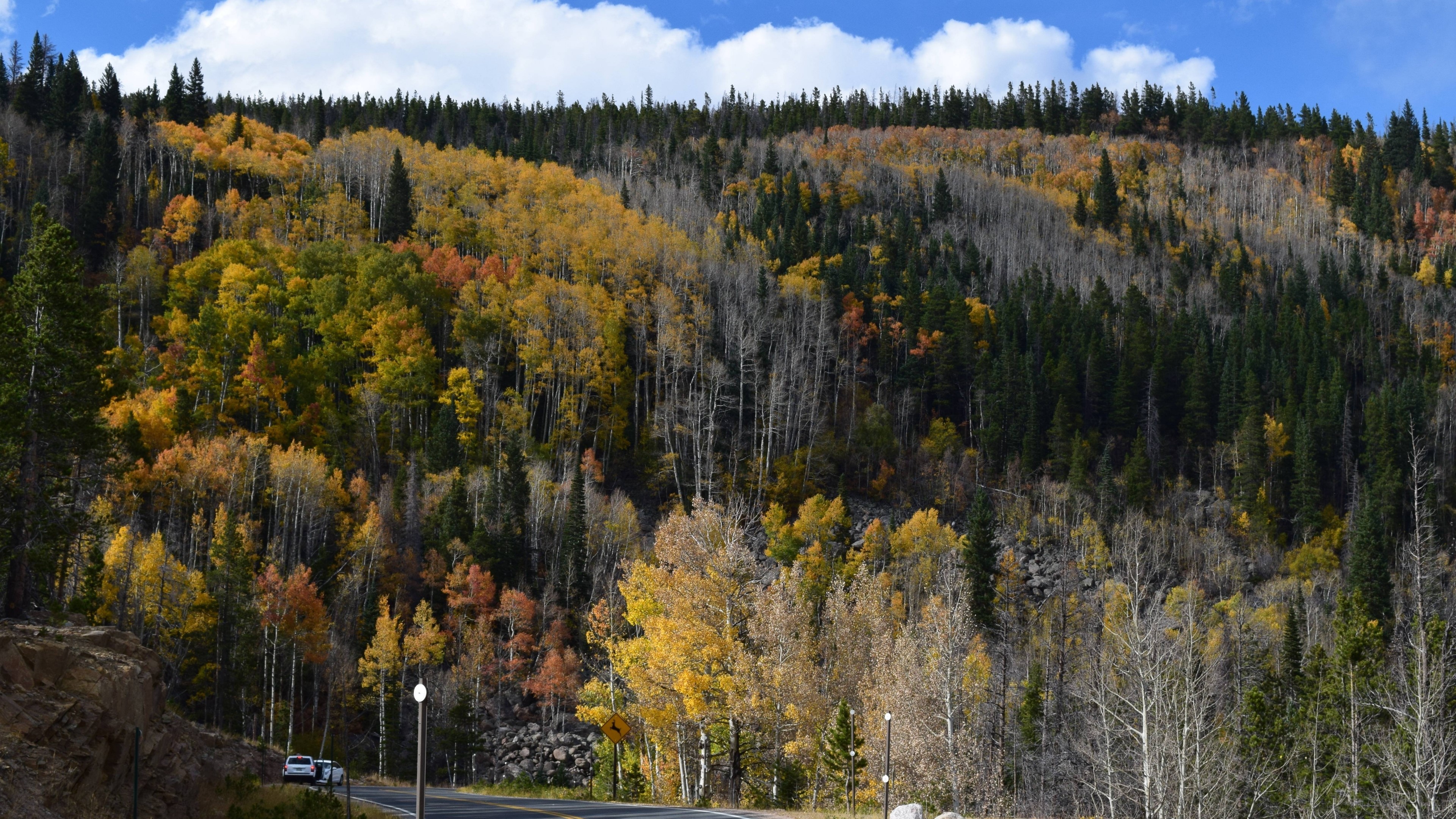 Fall Colors in Rmnp Colorado HD Wallpaper