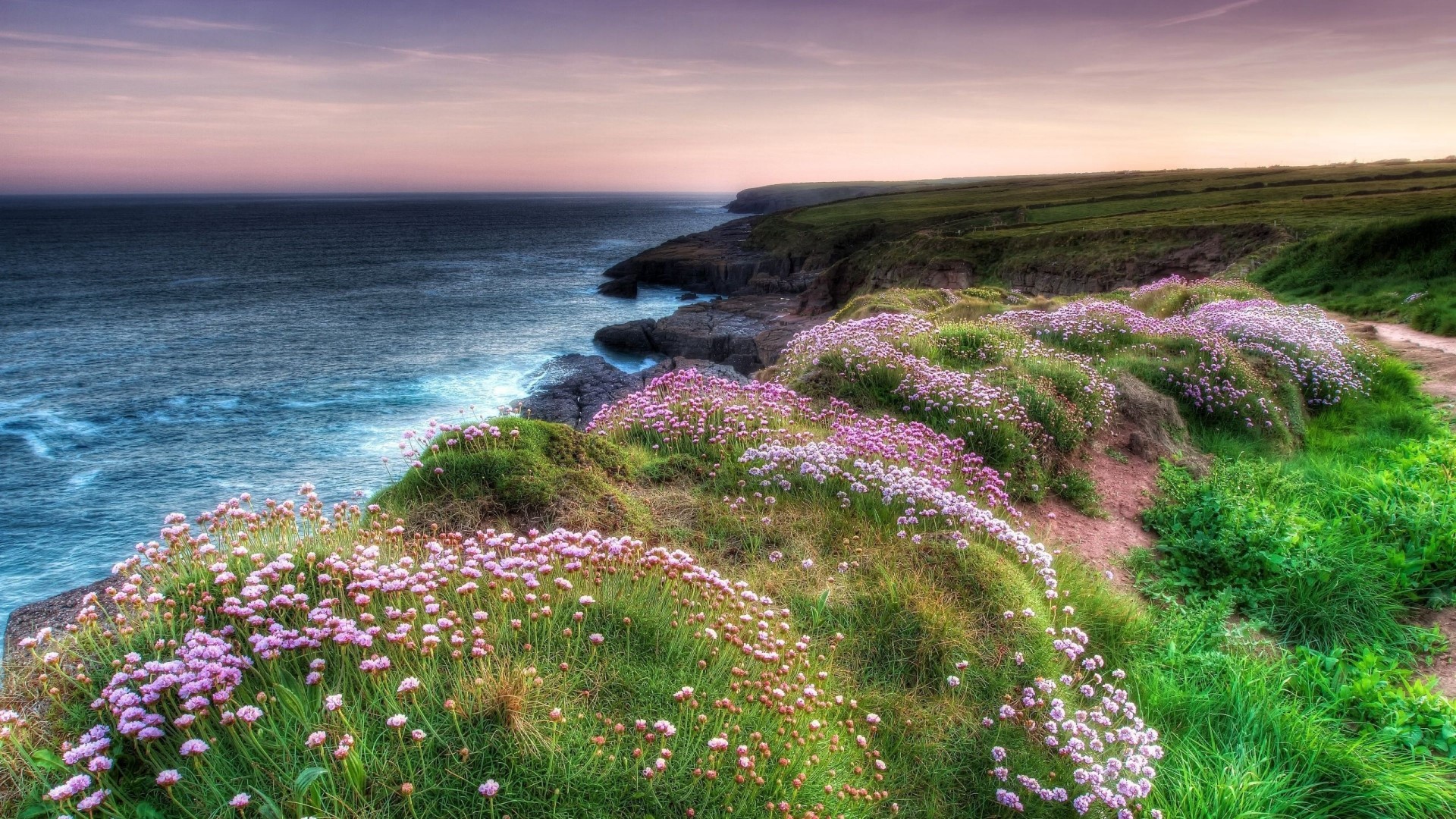 Dunmore East Ireland Coastal Landscape with Flowers HD Wallpaper