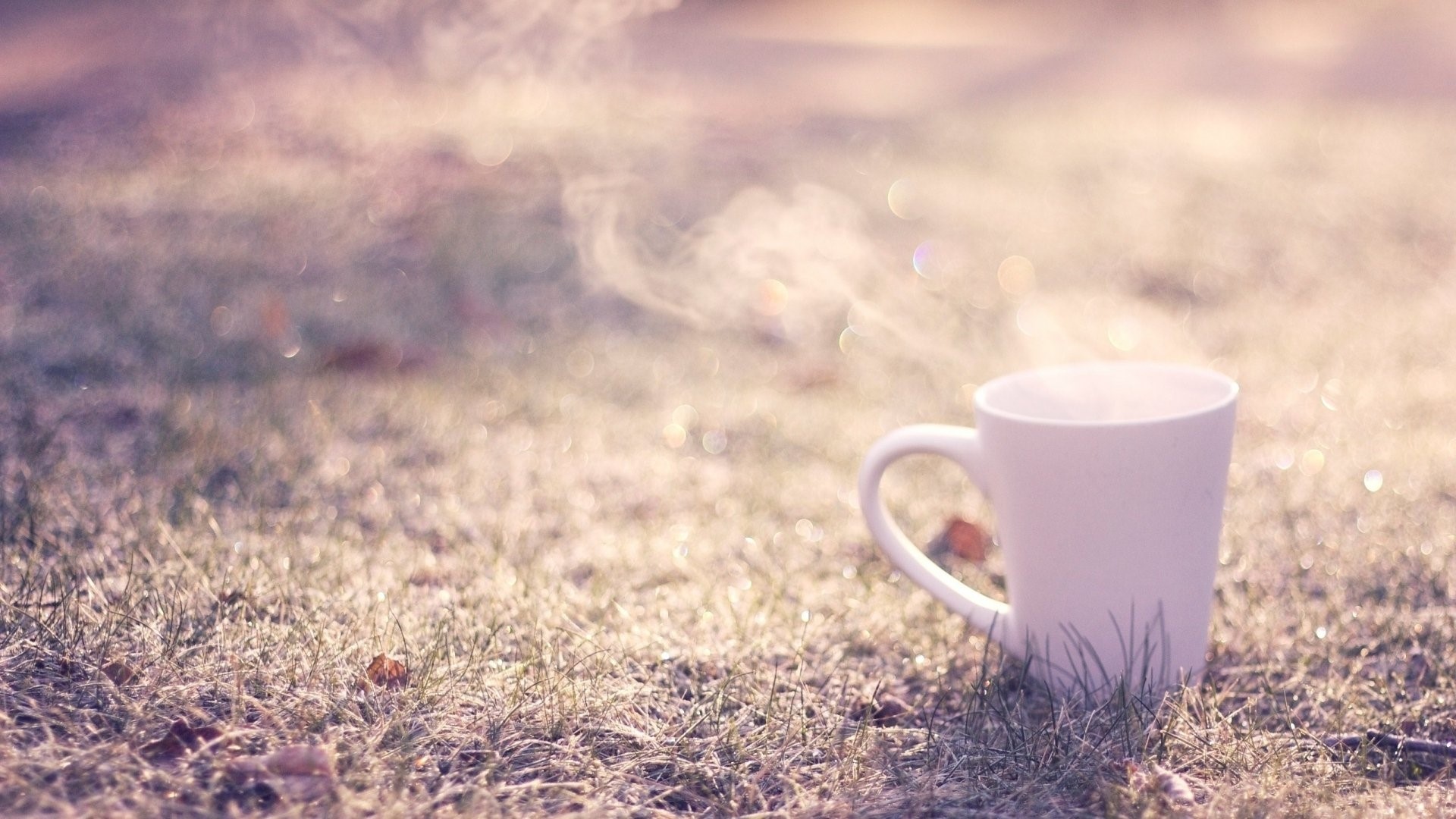 Close up of a steaming coffee mug on grass HD Wallpaper