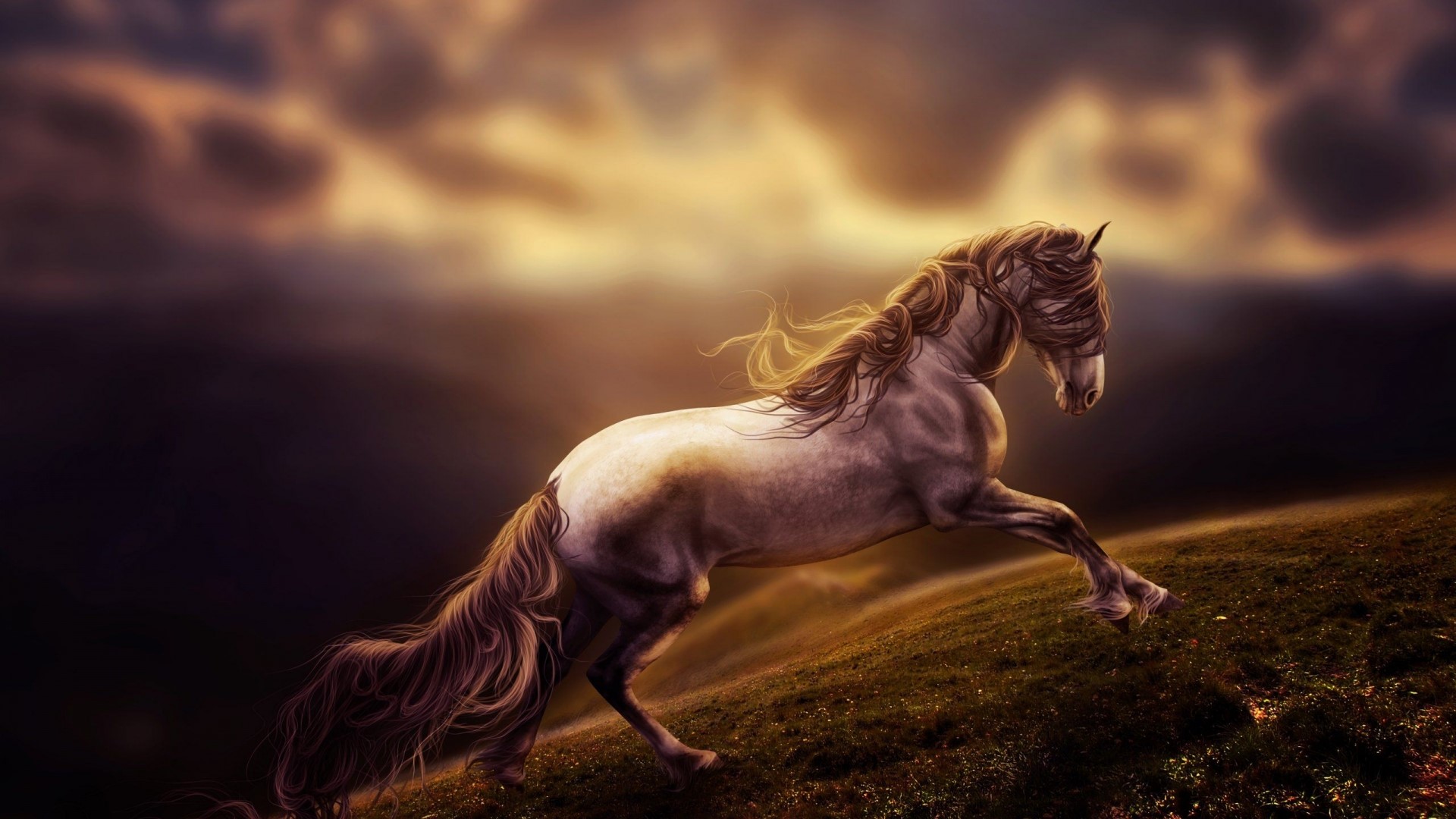 A majestic horse running on a grassy hill HD Wallpaper