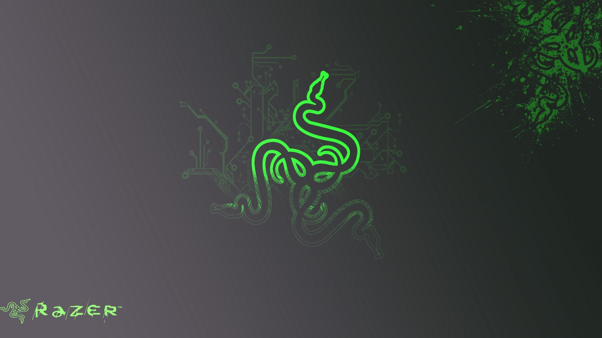 Razer logo and circuit board pattern HD Wallpaper