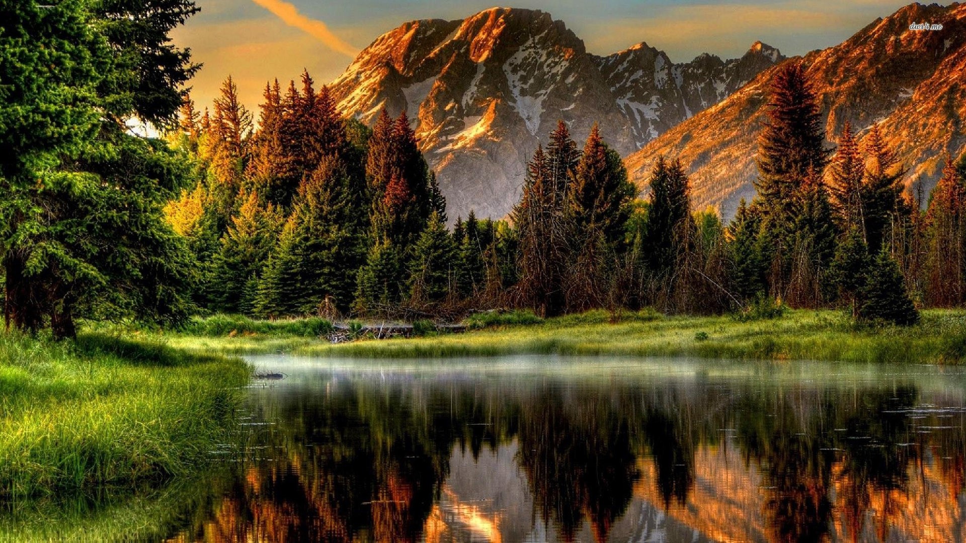 Lake and mountains with pine forest HD Wallpaper