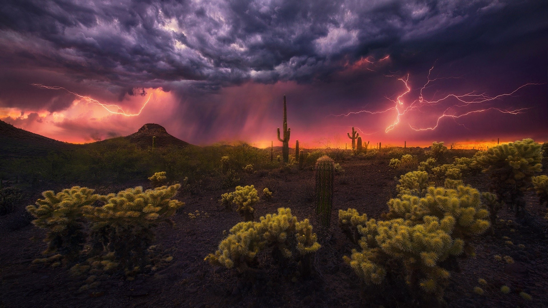 Lightning strikes over a desert landscape with cacti HD Wallpaper