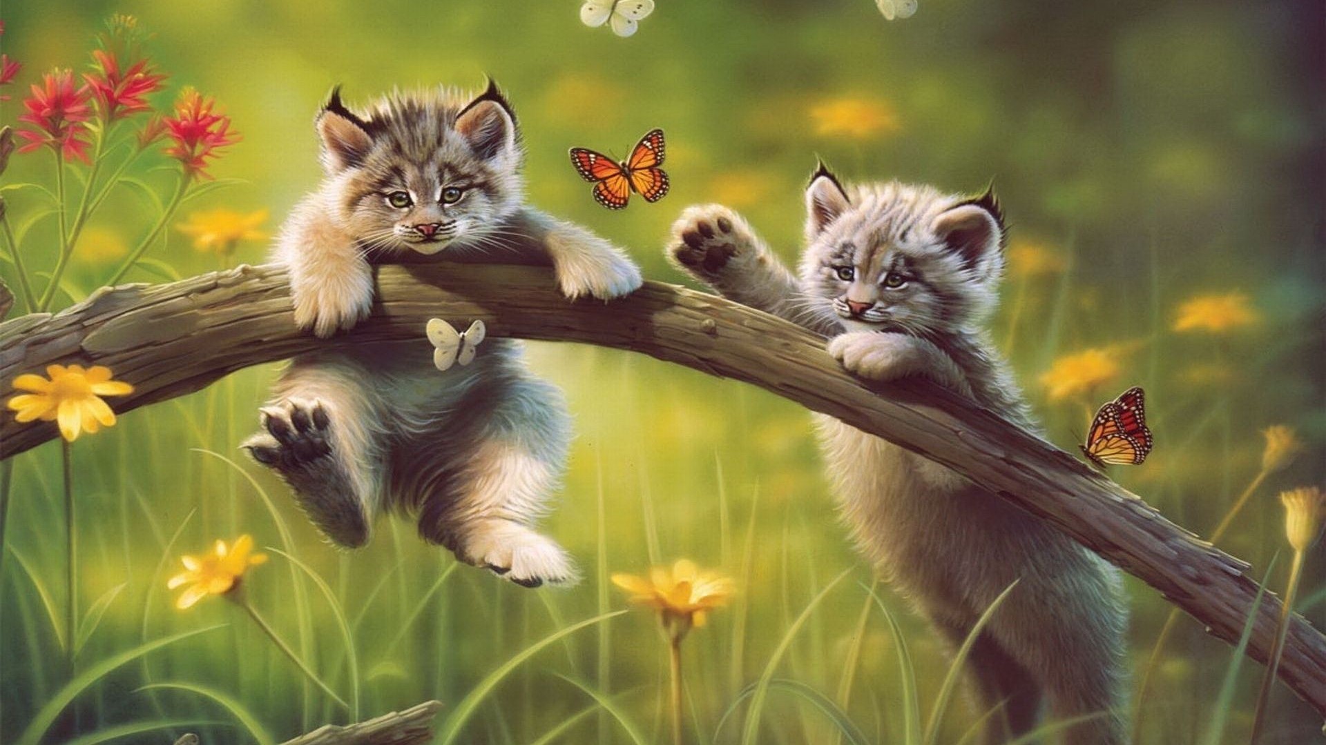 Two cute lynx kittens on a branch with butterflies HD Wallpaper