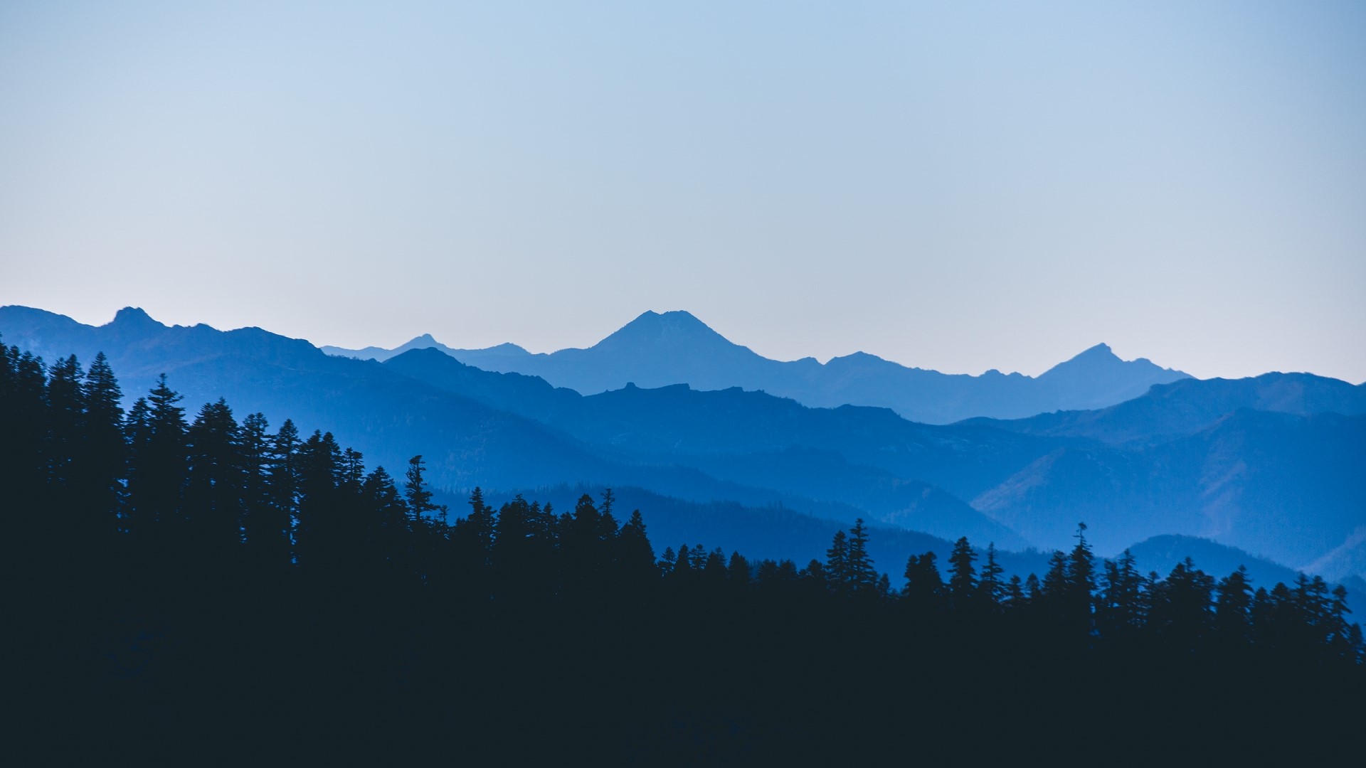 Blue Mountains and Forest Silhouette HD Wallpaper