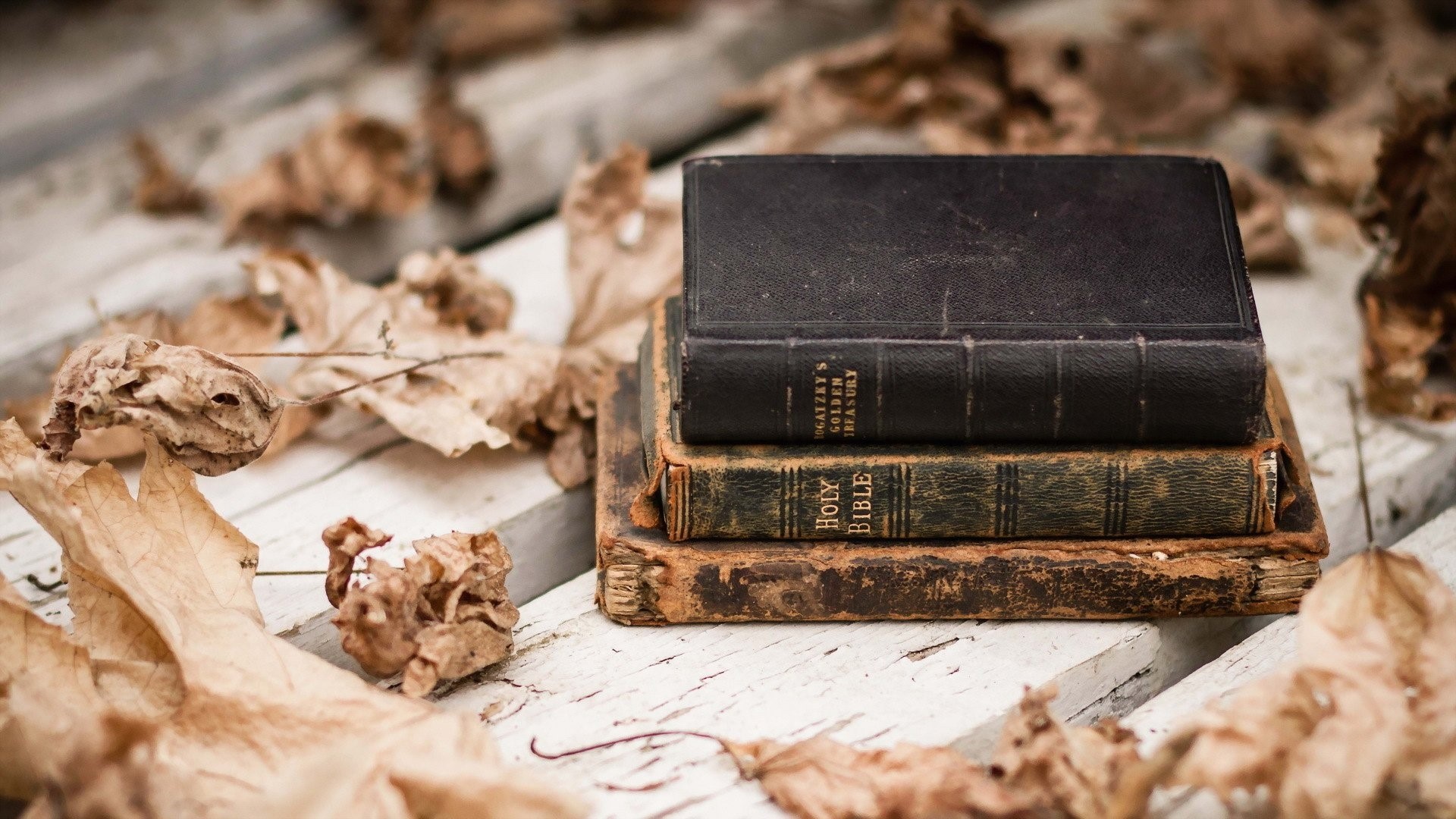 Stack of Old Books with Autumn Leaves HD Wallpaper