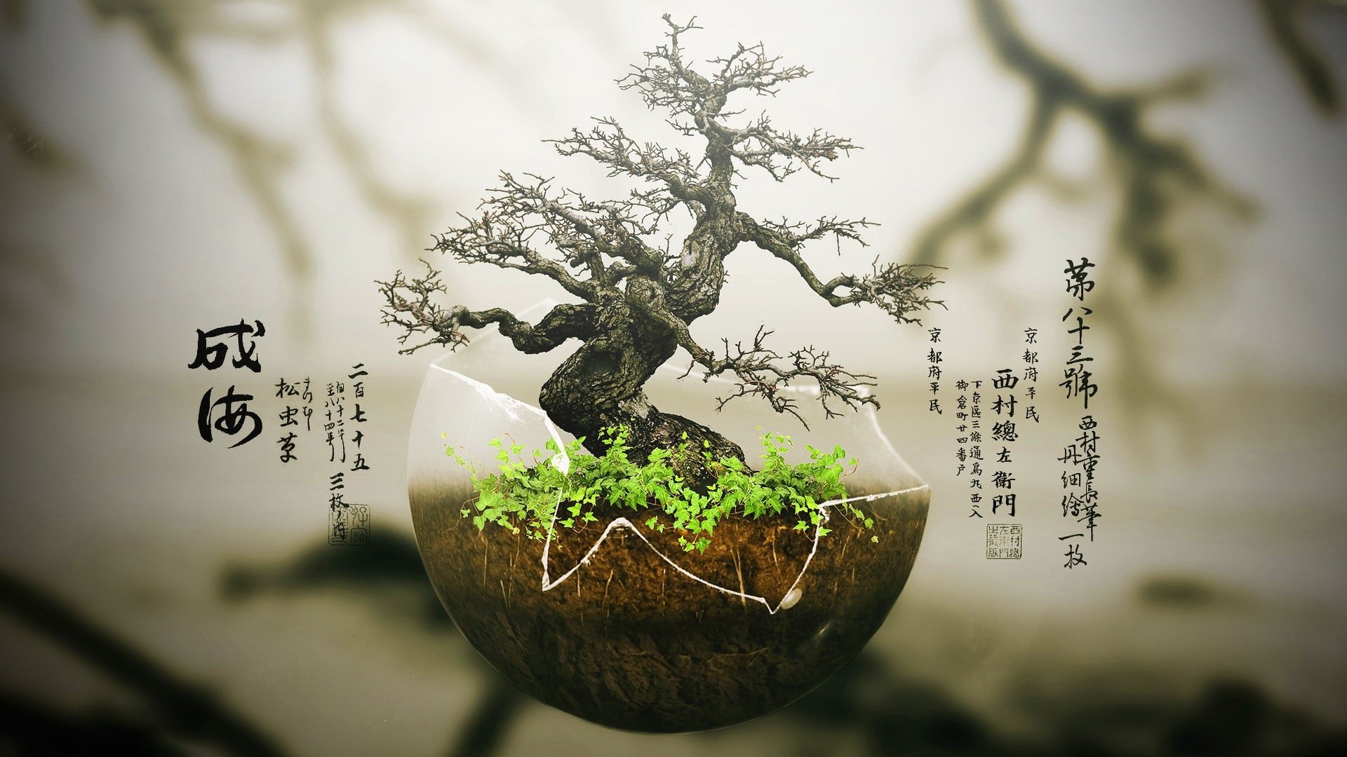 Bonsai tree in a glass terrarium with Japanese calligraphy HD Wallpaper