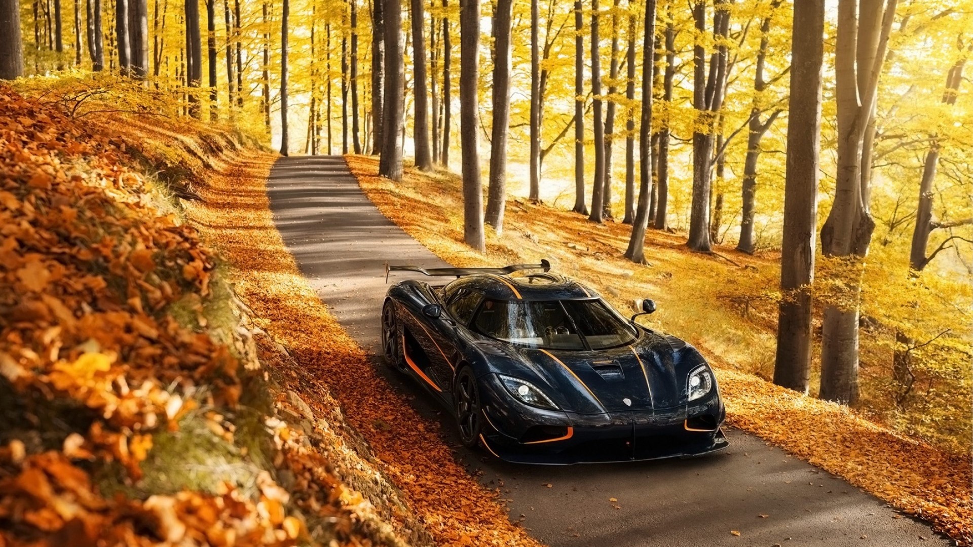 Koenigsegg Agera R on a road in autumn forest HD Wallpaper