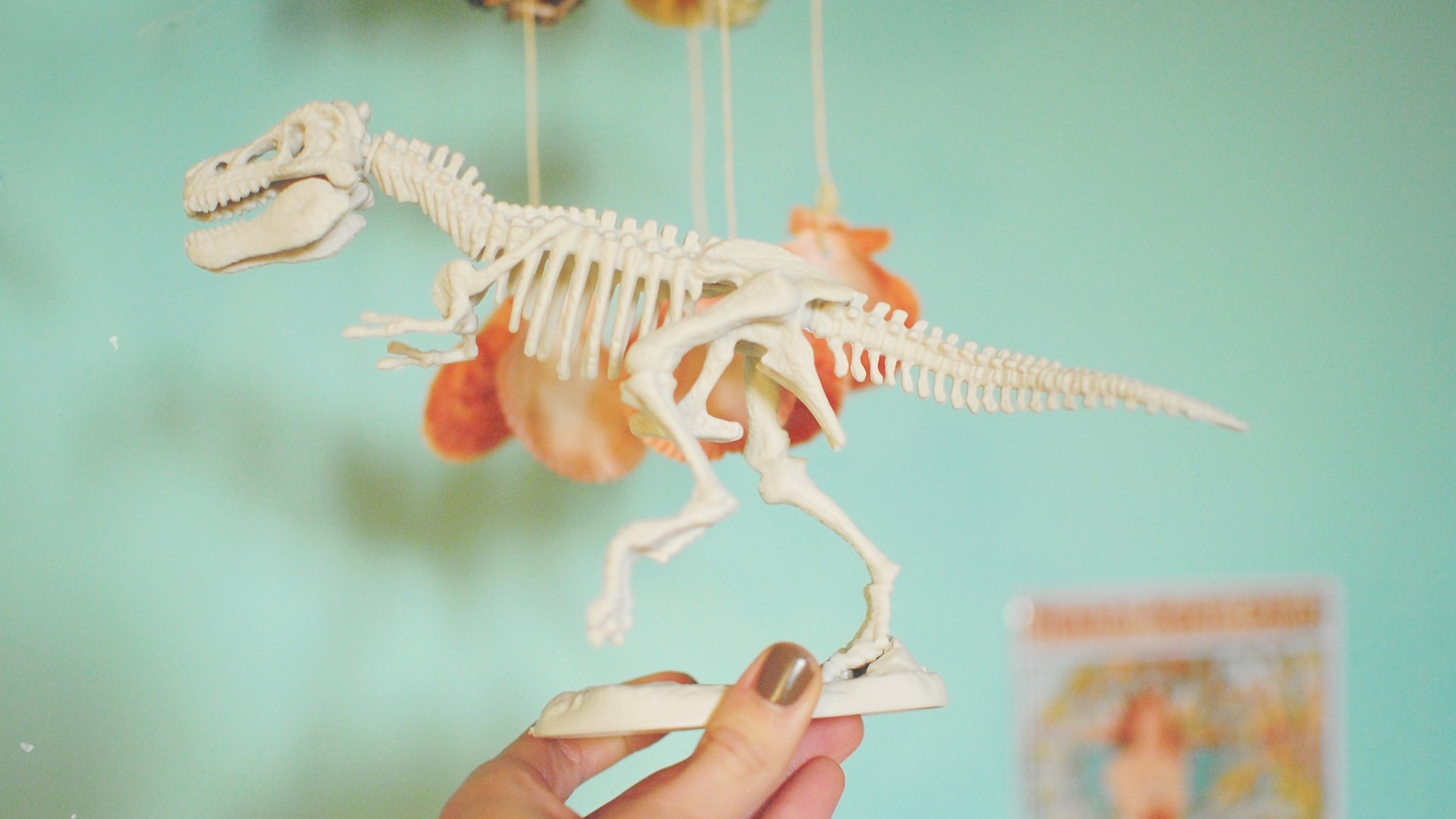 Dinosaur skeleton model held by hand HD Wallpaper