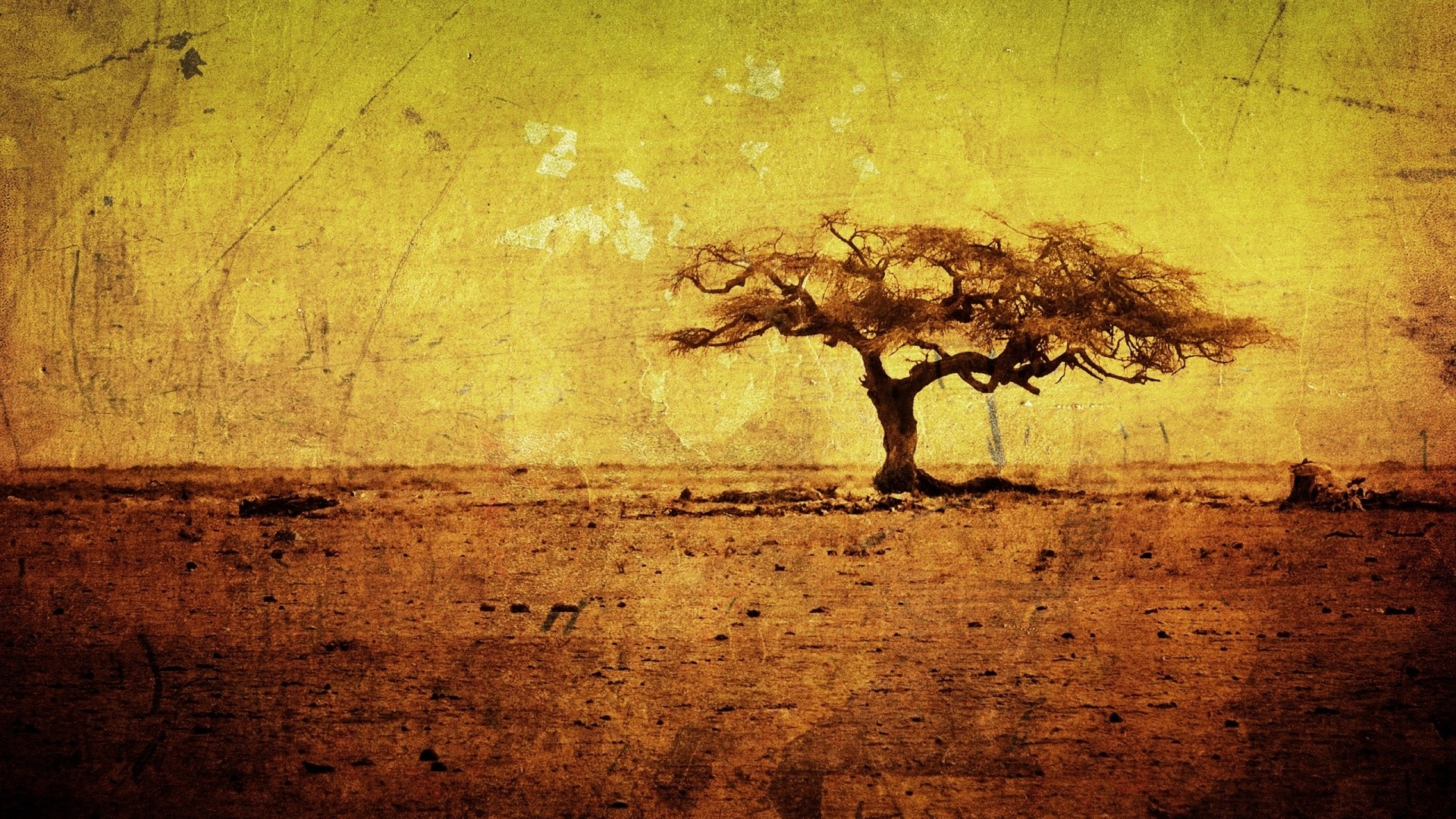 Grunge tree in a dry landscape HD Wallpaper