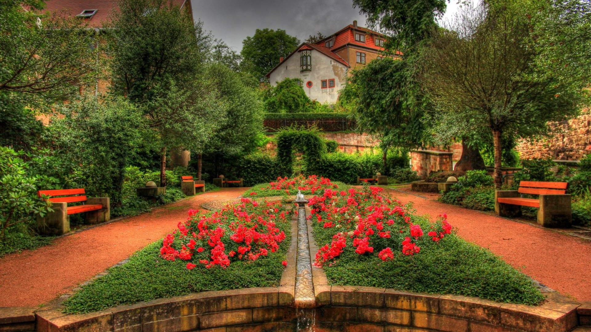 Garden with red roses and benches HD Wallpaper
