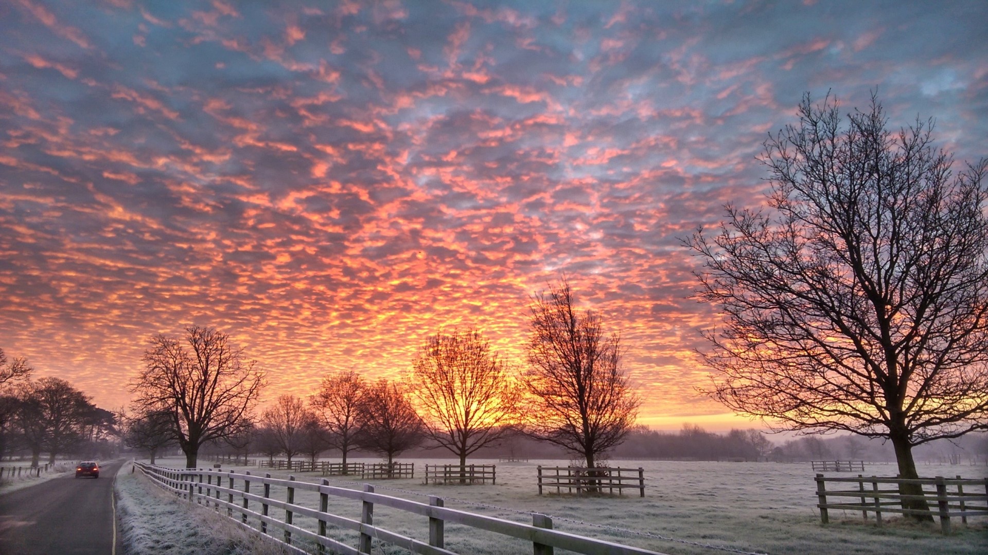Winter Morning Sunrise in the UK HD Wallpaper