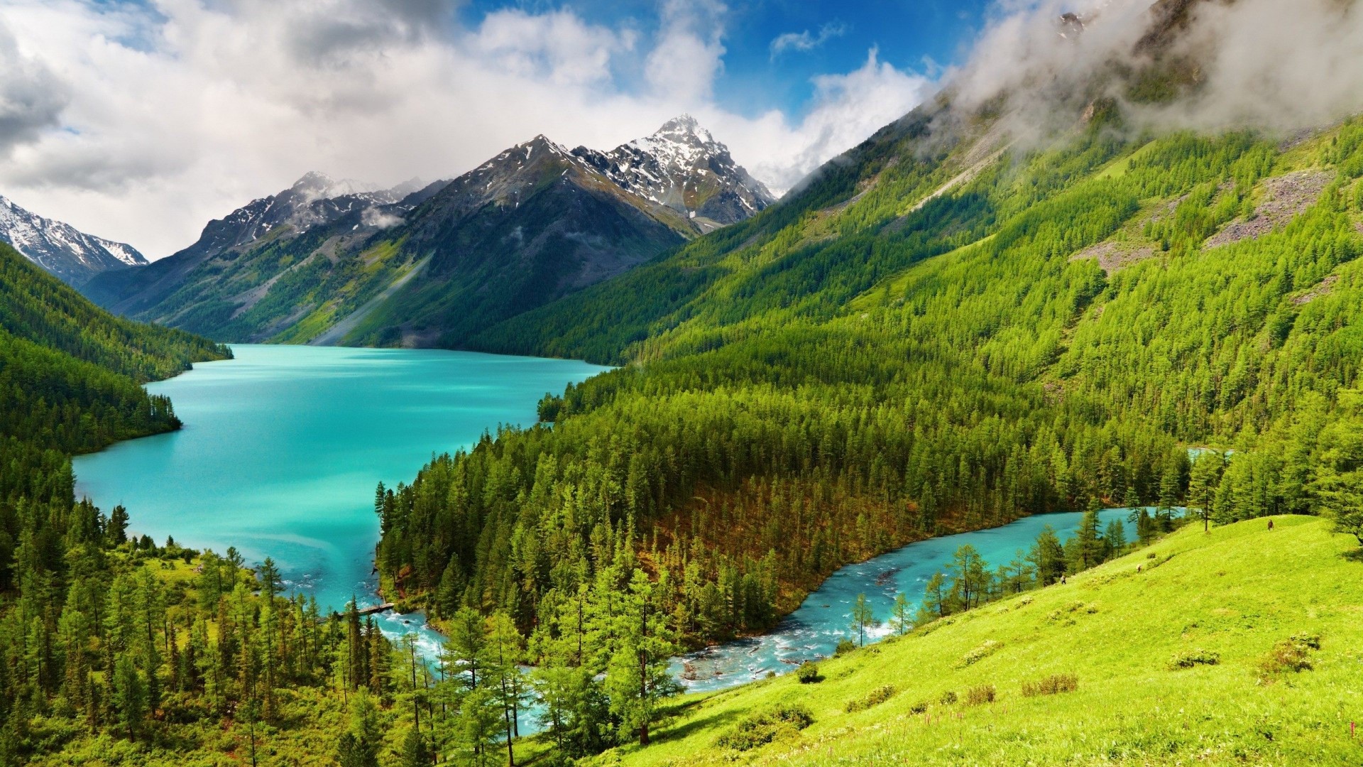 Turquoise lake and green forest in mountains HD Wallpaper
