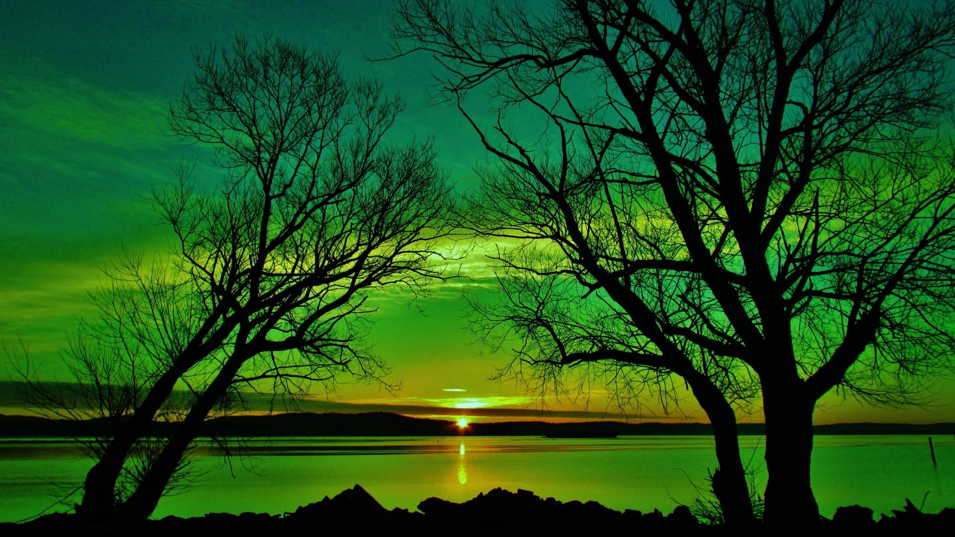 Green Sunset over Lake with Silhouetted Trees HD Wallpaper