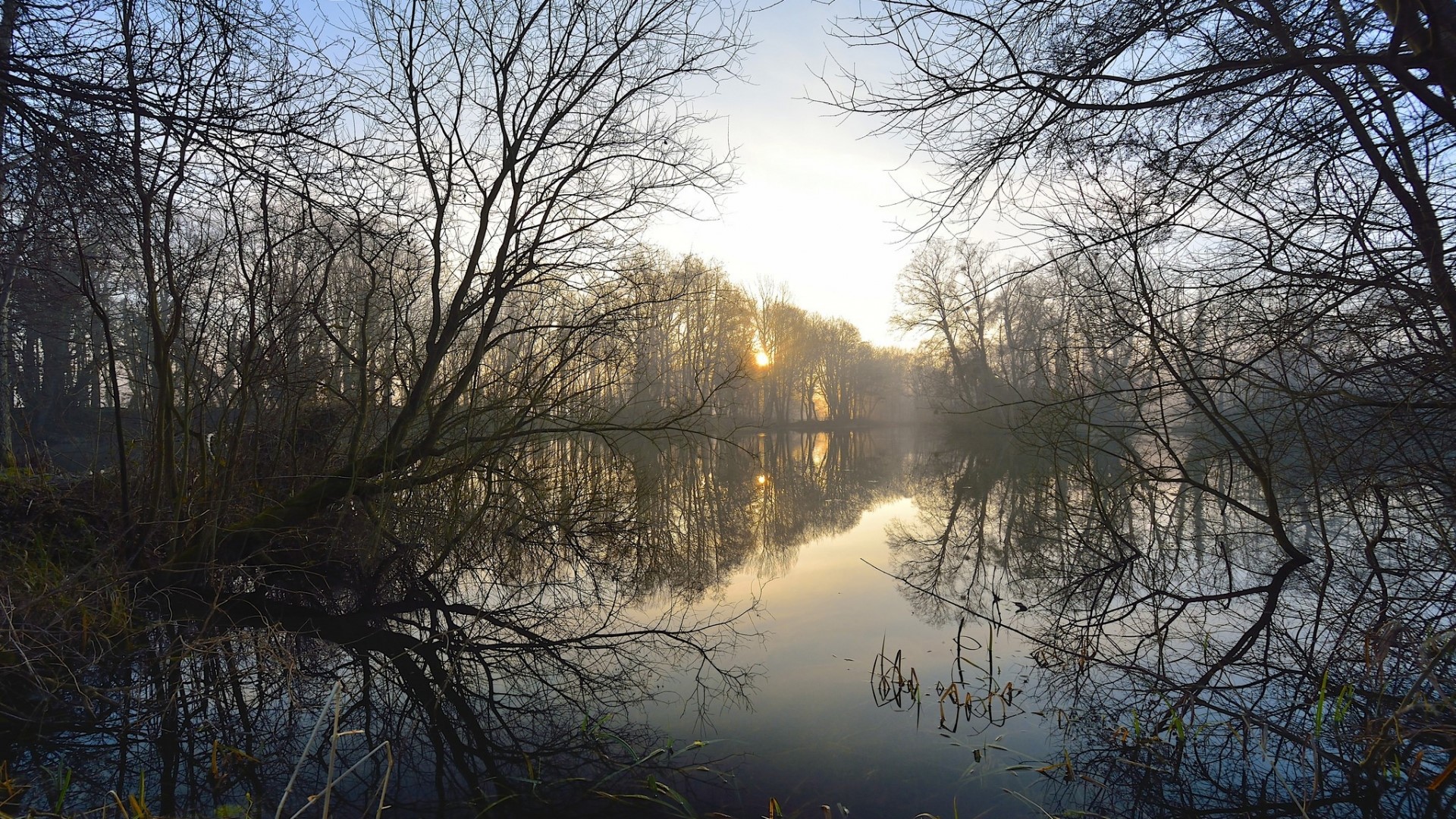 Lake with sunrise between trees HD Wallpaper