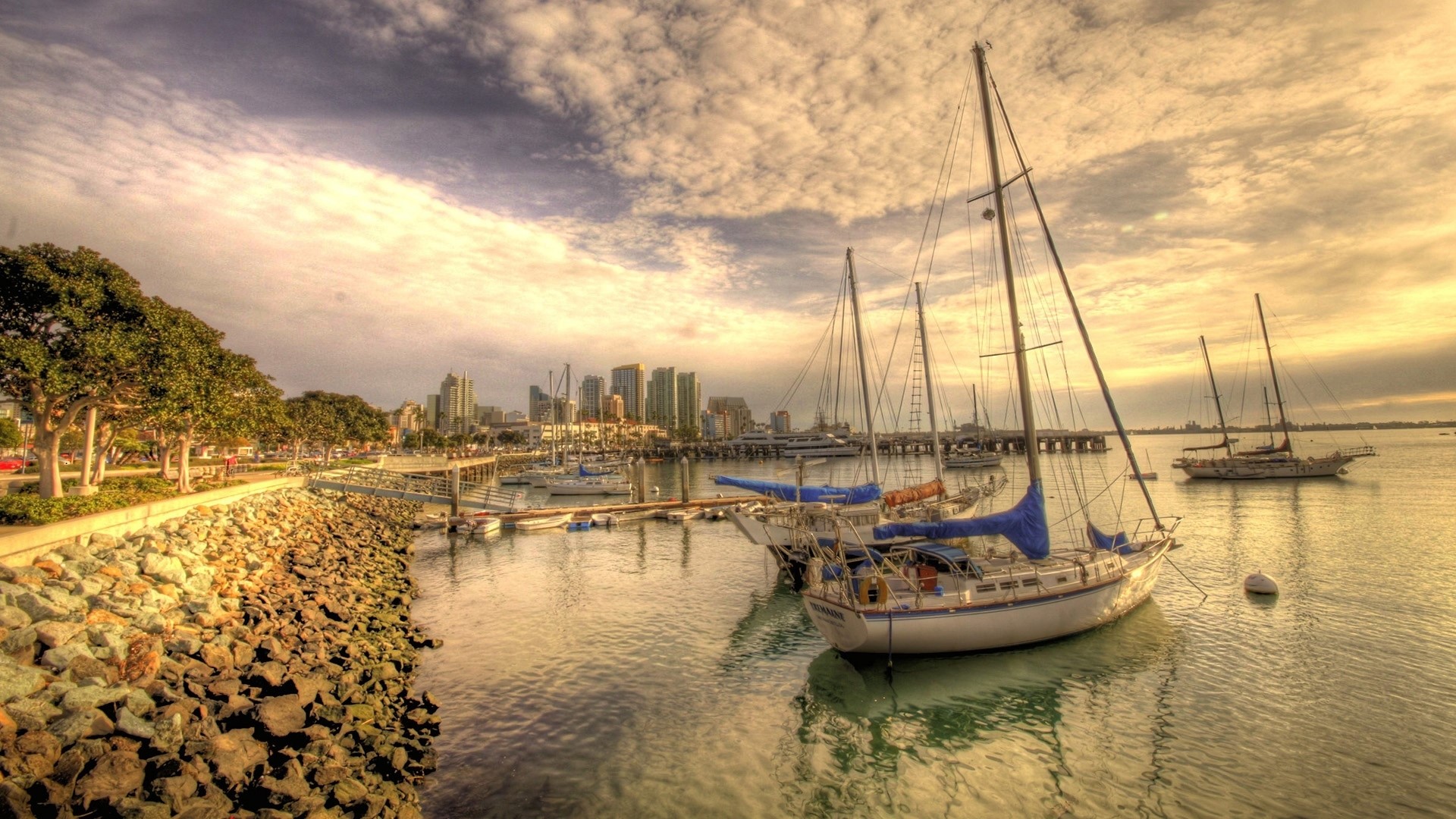 Sailboats docked in San Diego harbor with city skyline HD Wallpaper