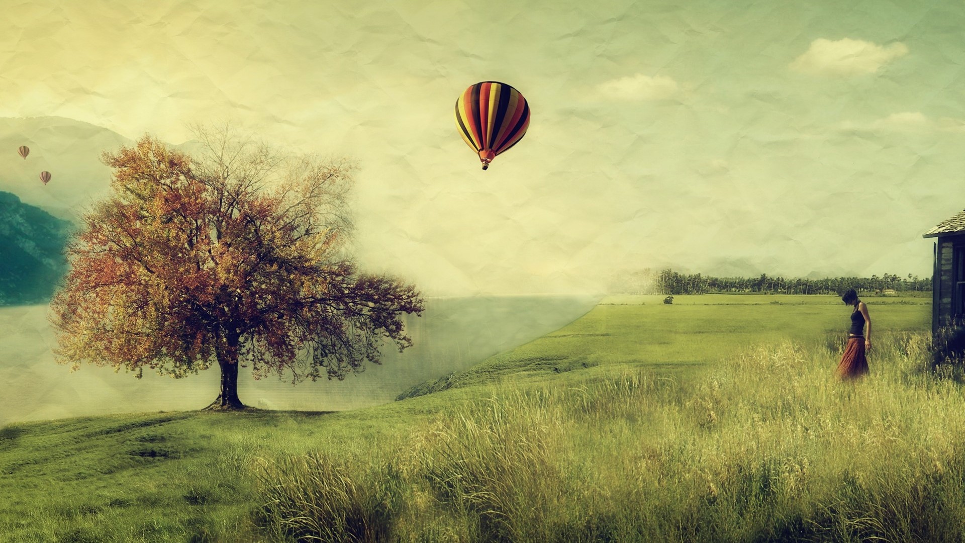 Hot air balloon over a grassy field with a tree HD Wallpaper