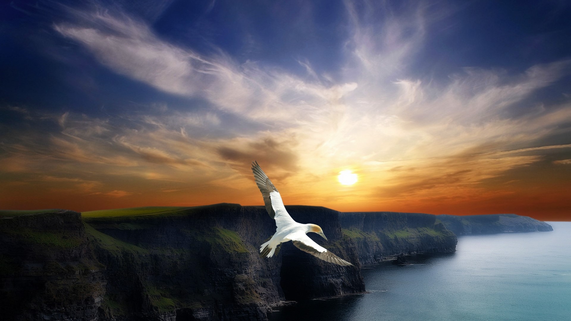 Bird flying over cliffs at sunset HD Wallpaper