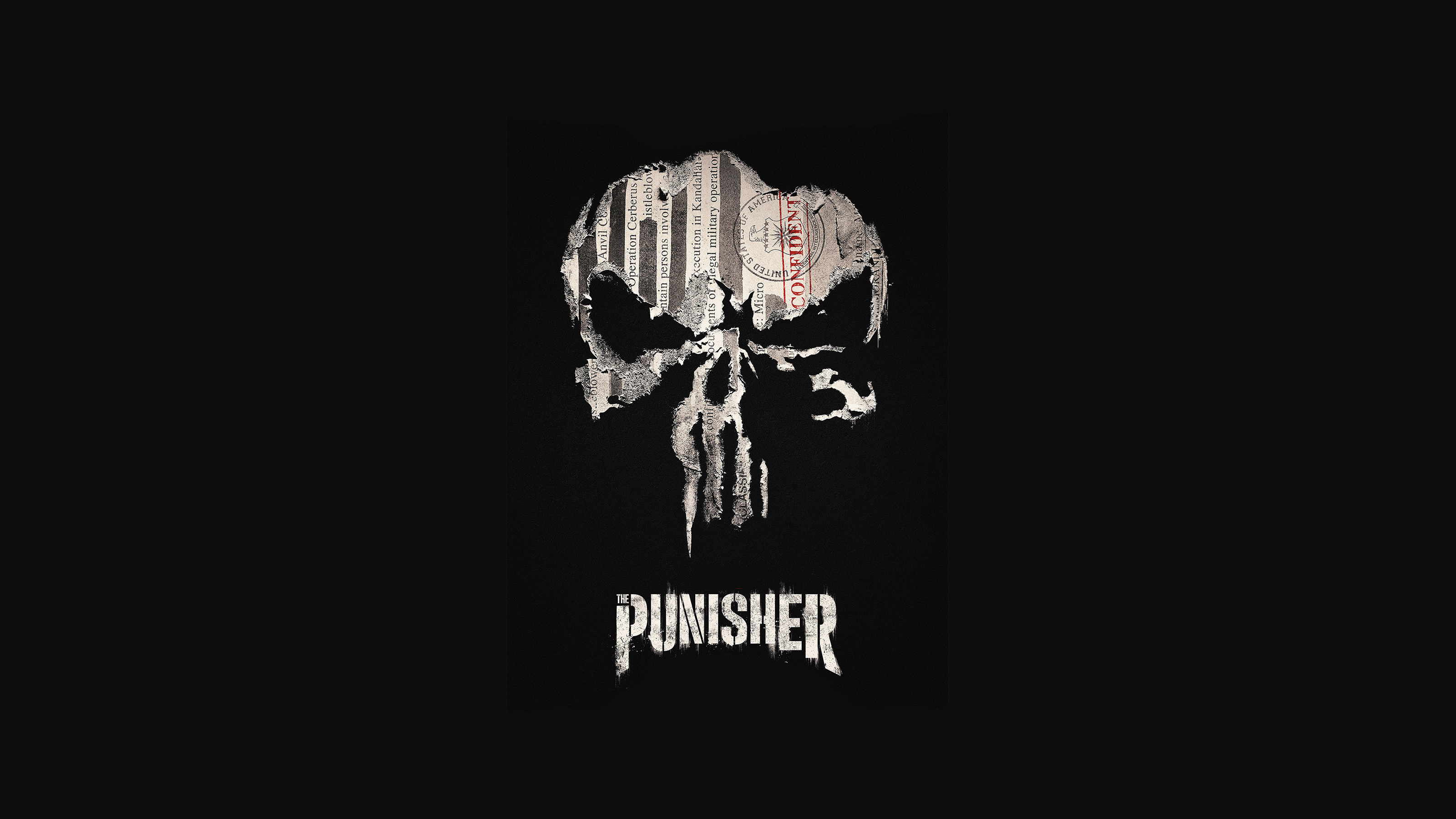 The Punisher Skull Logo from Marvel Comics HD Wallpaper