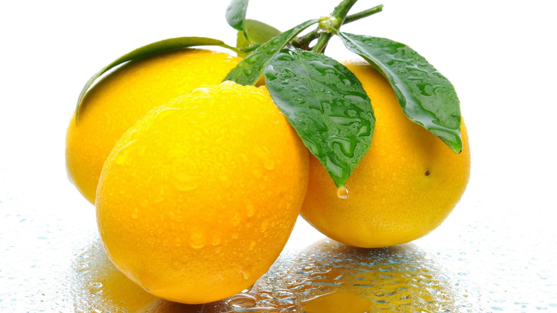 Fresh Lemons with Water Droplets and Leaves HD Wallpaper