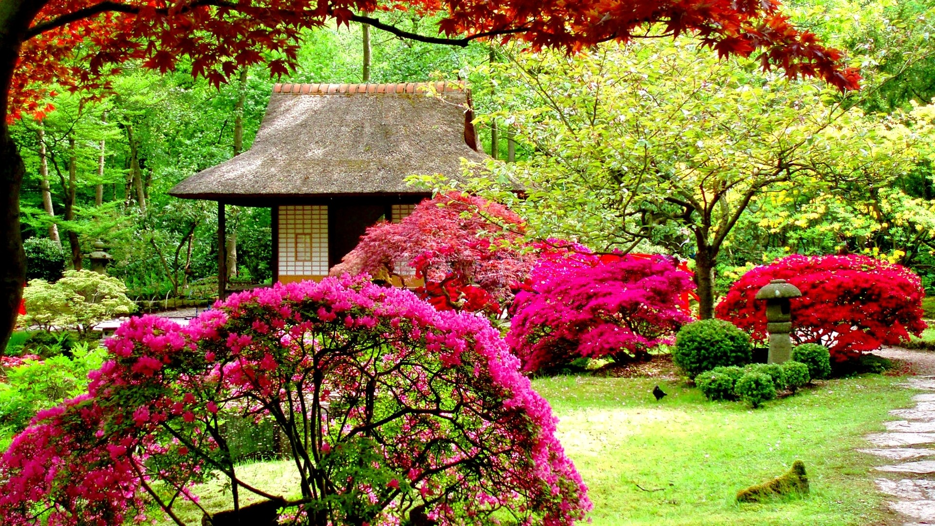 Japanese Garden with Traditional House and Azaleas HD Wallpaper